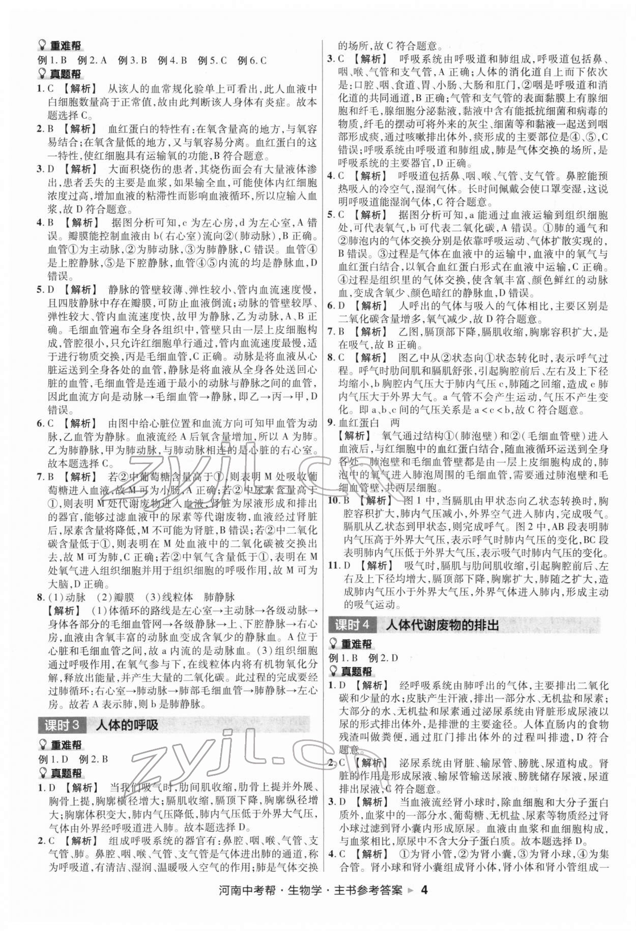 2022年中考幫生物河南專版 第4頁