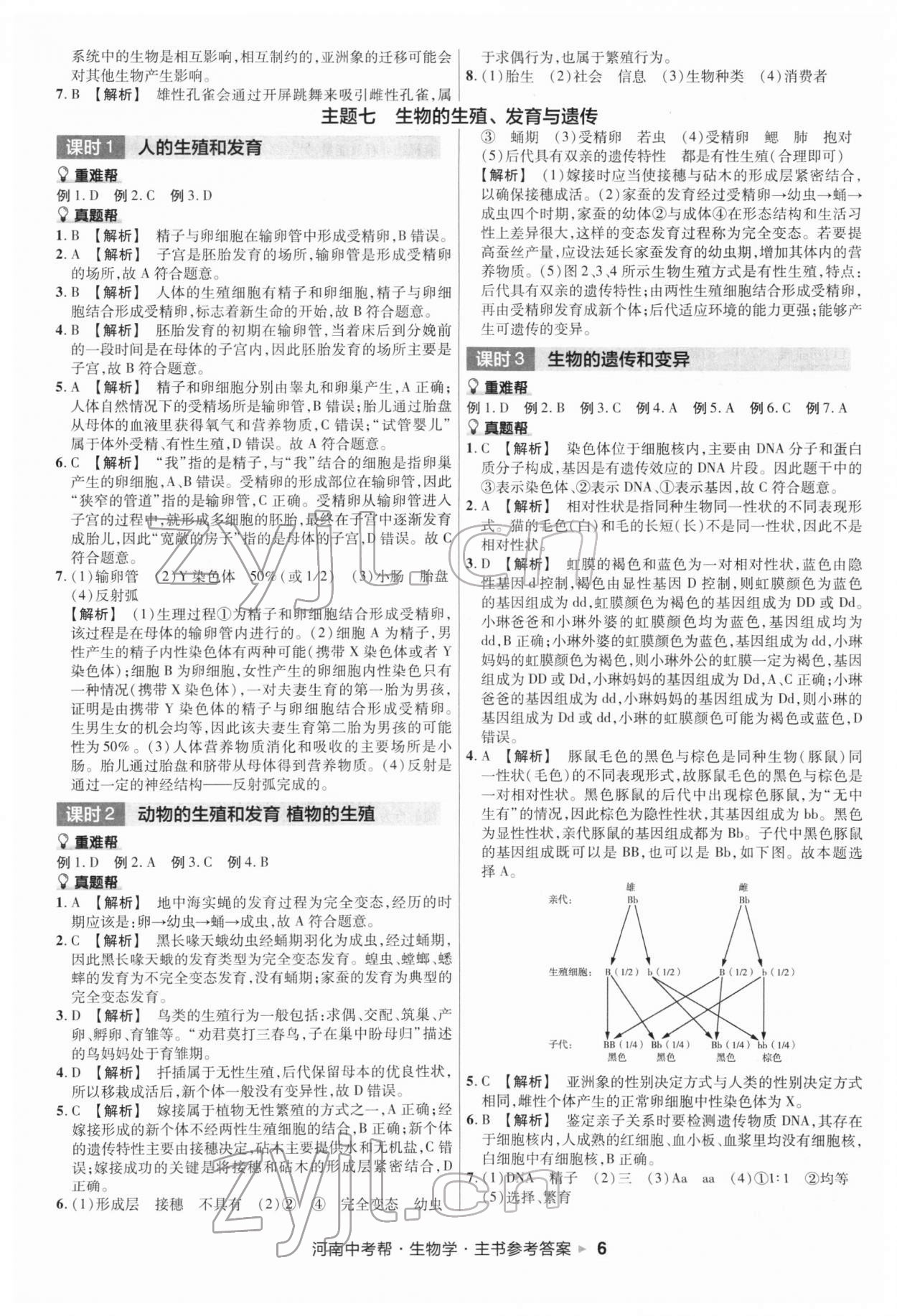 2022年中考幫生物河南專版 第6頁(yè)