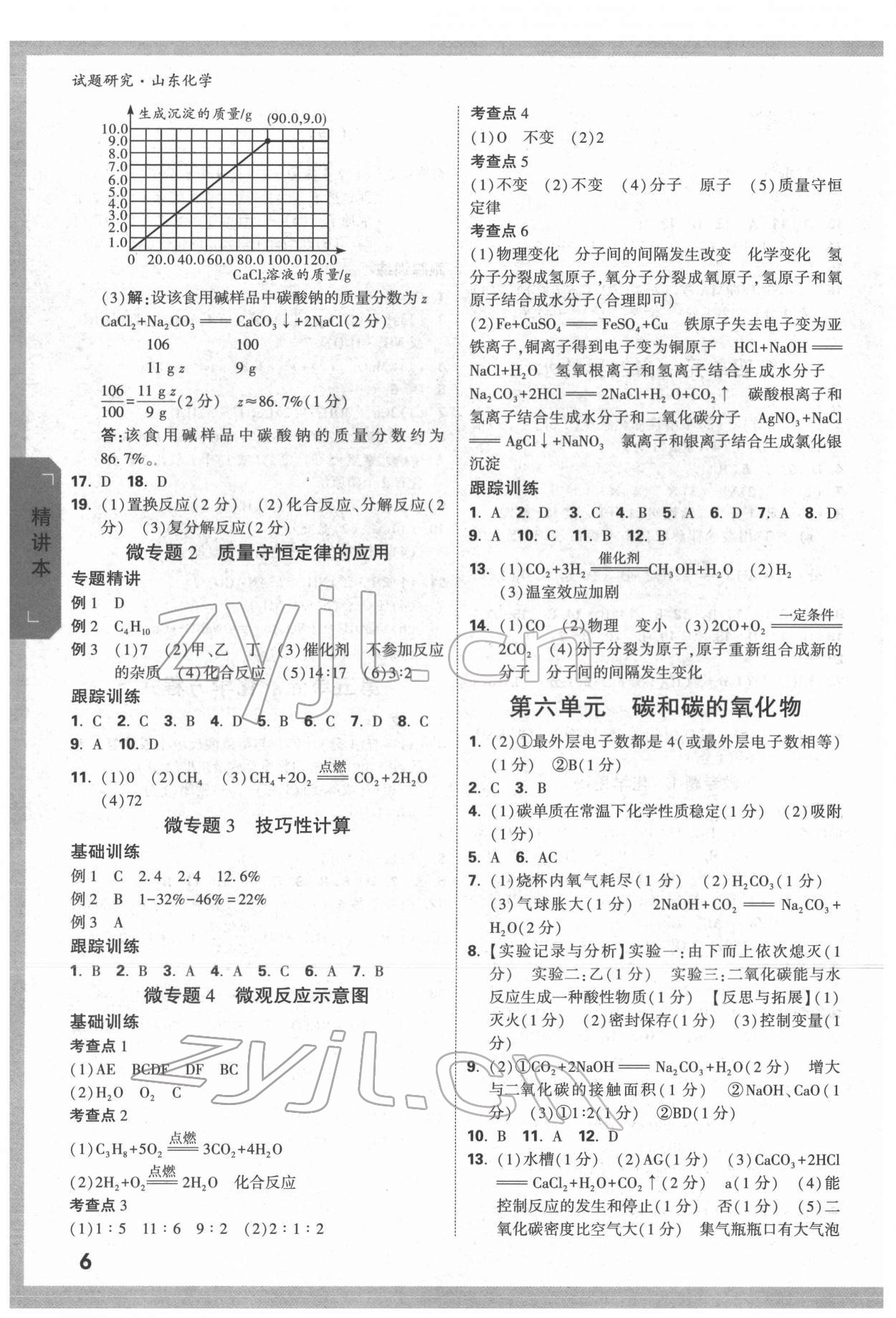 2022年万唯中考试题研究化学人教版山东专版 参考答案第5页