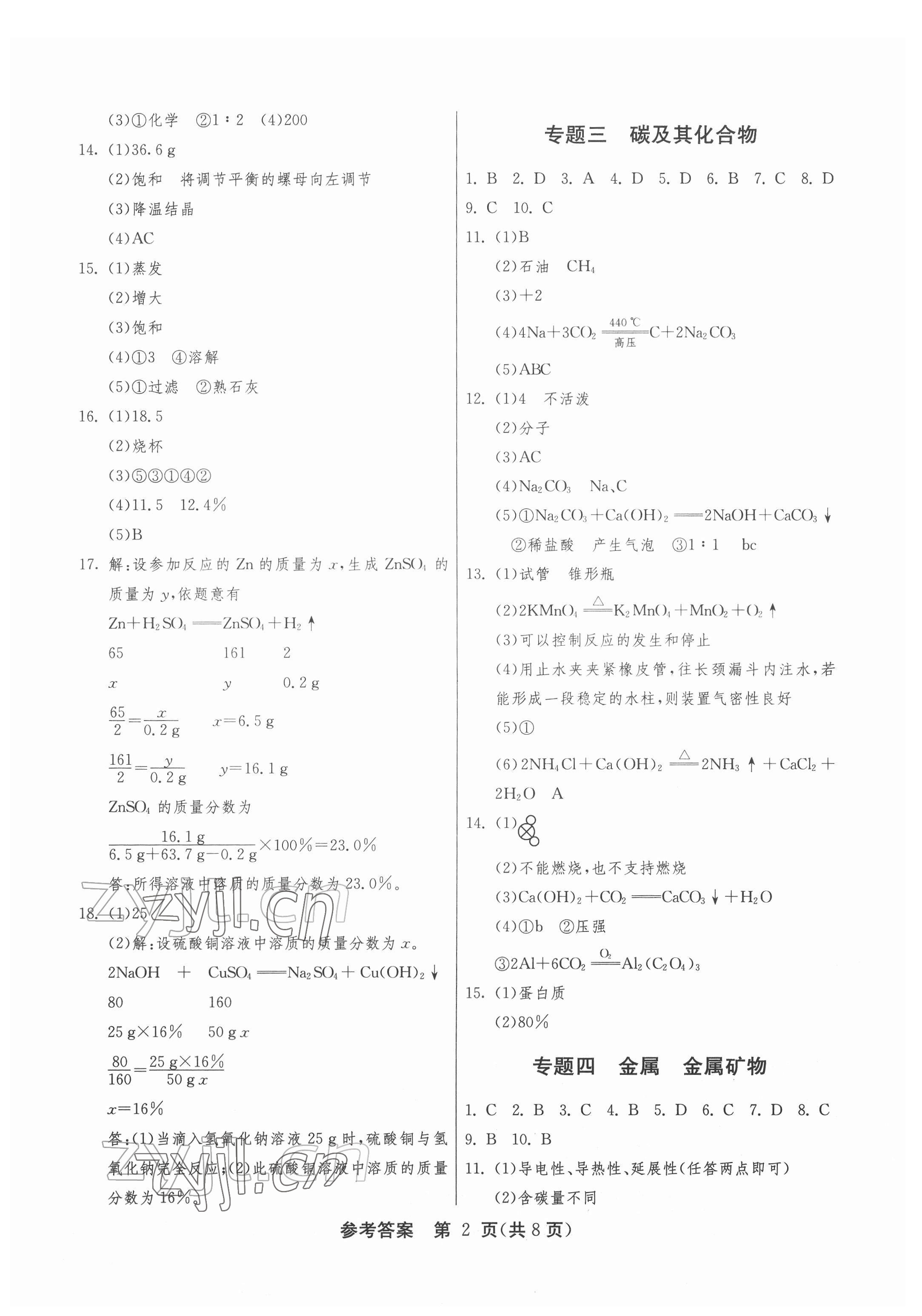 2022年中考復(fù)習(xí)指南專題強(qiáng)化訓(xùn)練卷化學(xué) 第2頁