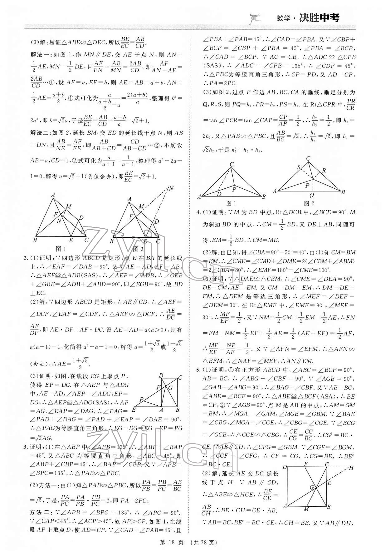 2022年決勝中考數(shù)學(xué)安徽專版 參考答案第18頁