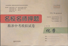 2022年名校名師押題中考模擬試卷化學