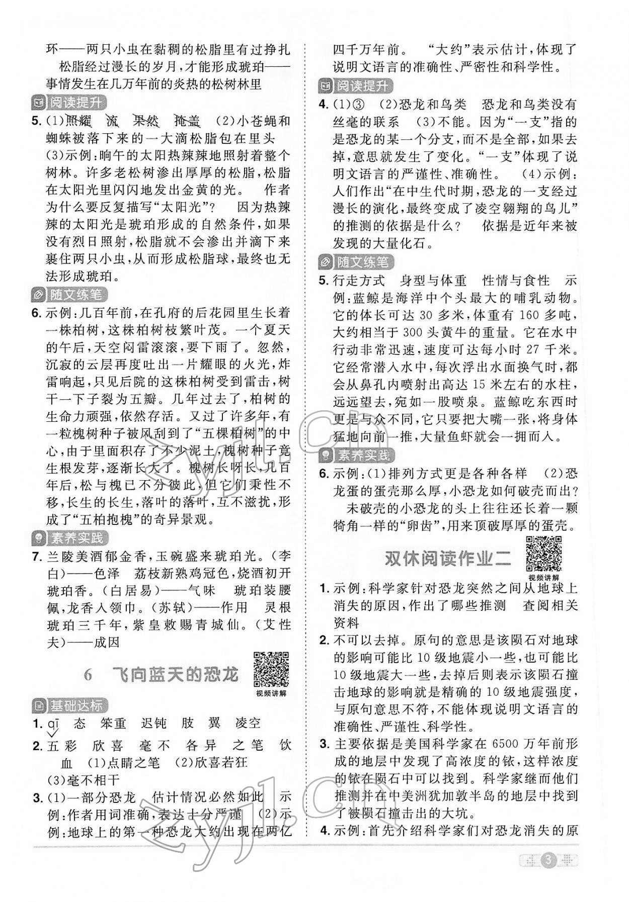 2022年阳光同学课时优化作业四年级语文下册人教版 第3页