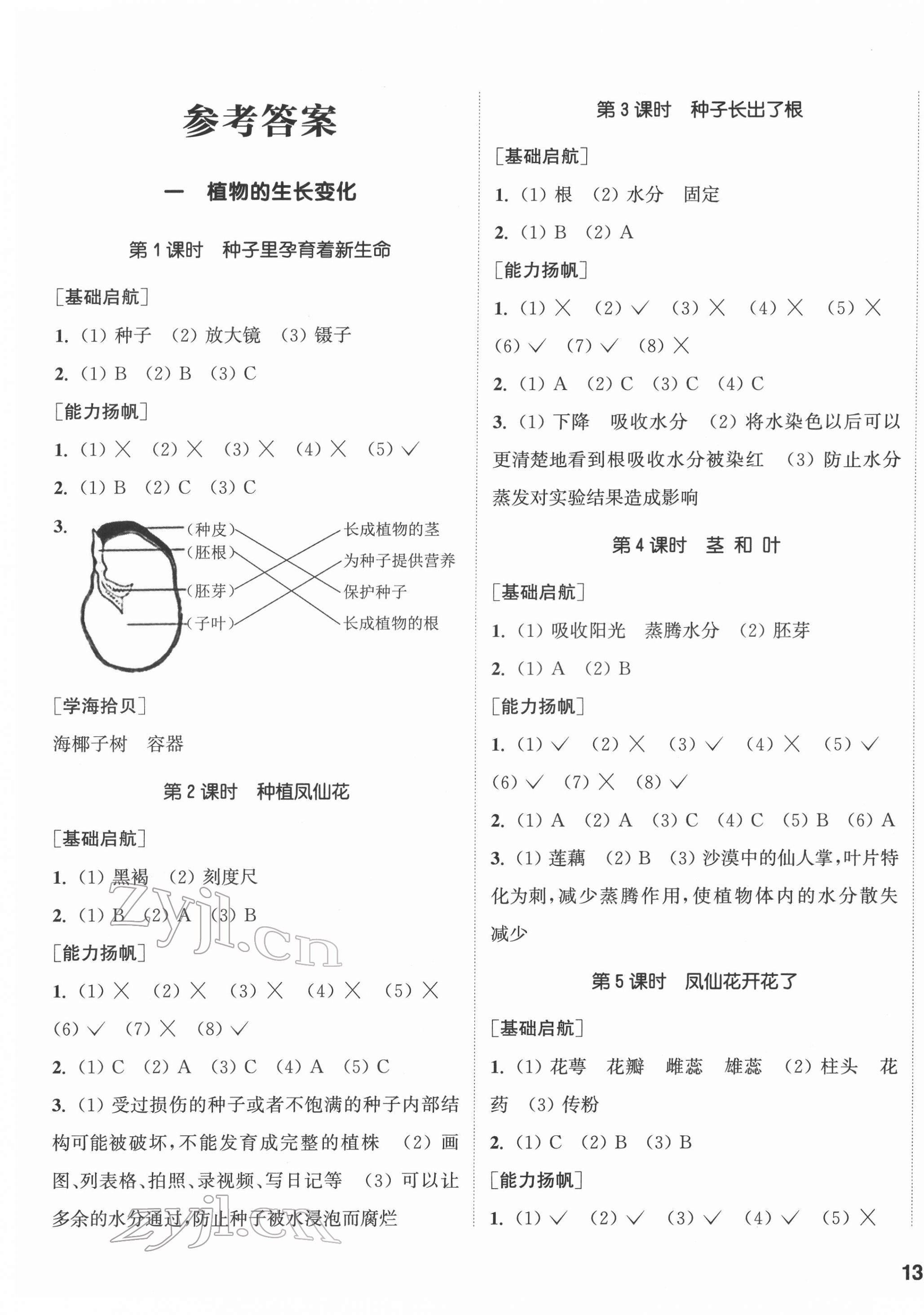 2022年通城學(xué)典課時作業(yè)本四年級科學(xué)下冊教科版 參考答案第1頁