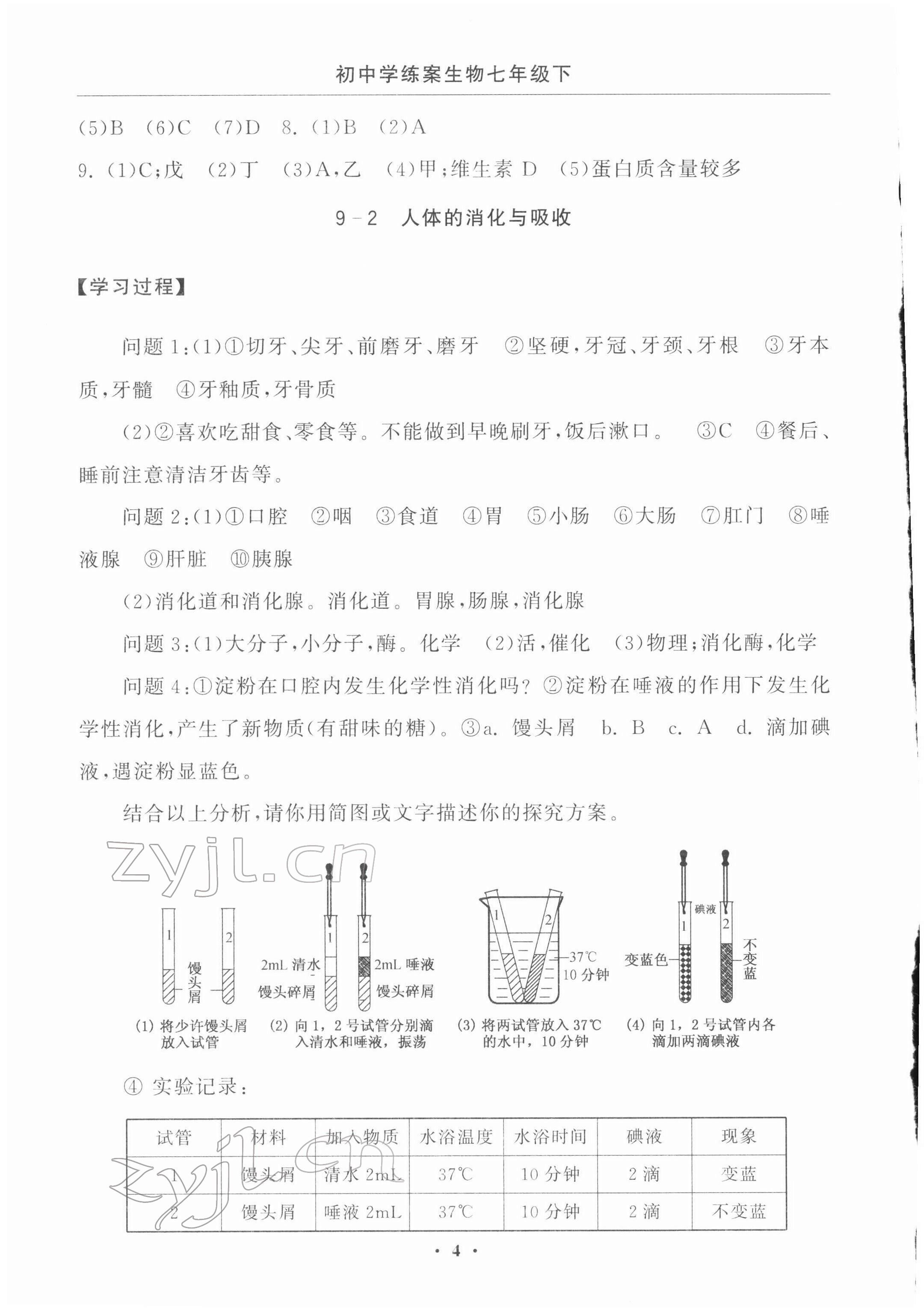 2022年初中學(xué)練案七年級生物下冊 參考答案第4頁