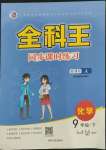 2022年全科王同步課時(shí)練習(xí)九年級(jí)化學(xué)下冊(cè)人教版