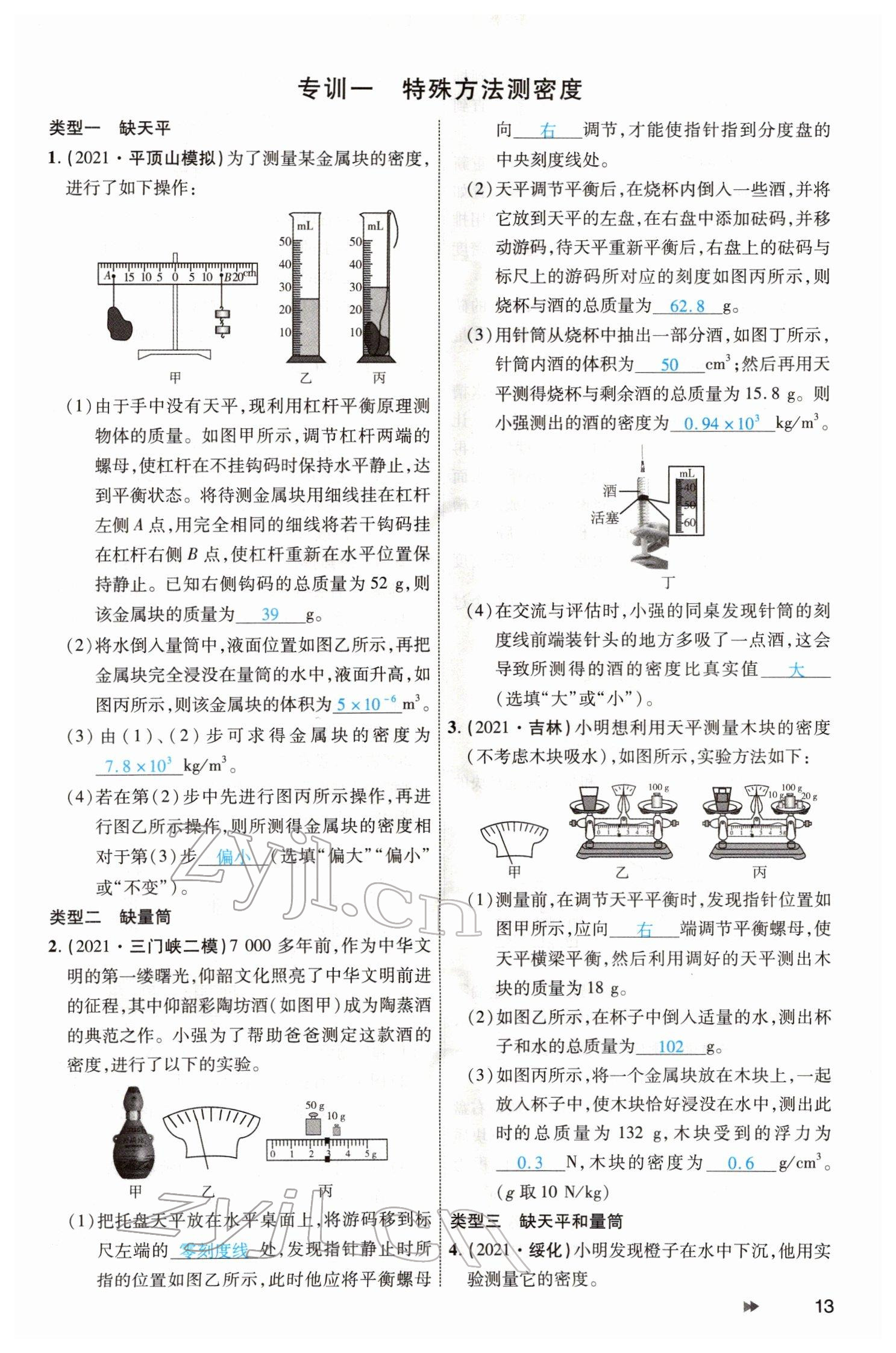 2022年領(lǐng)航中考物理河南專版 參考答案第13頁