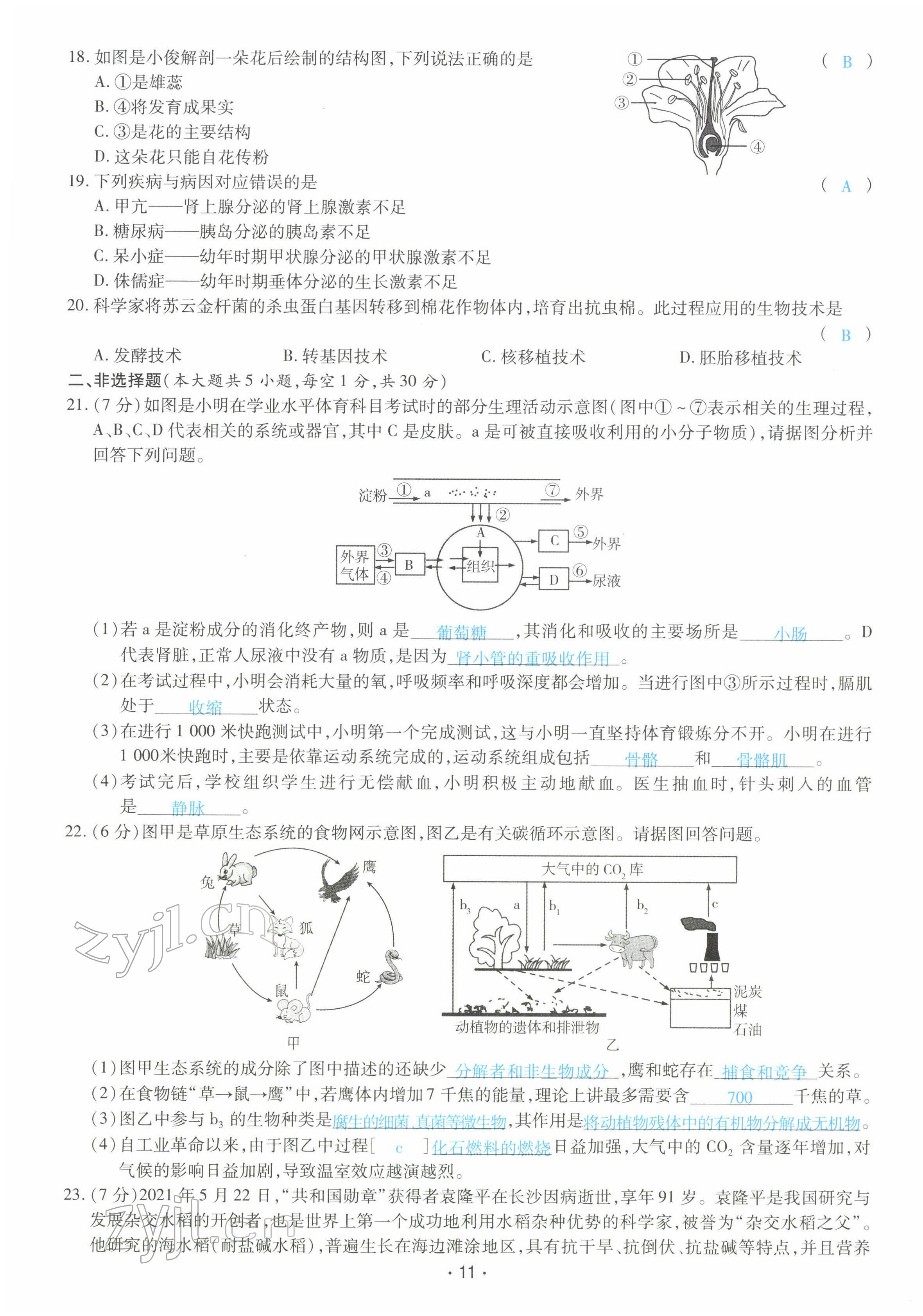 2022年領(lǐng)航中考生物河南專版 第11頁