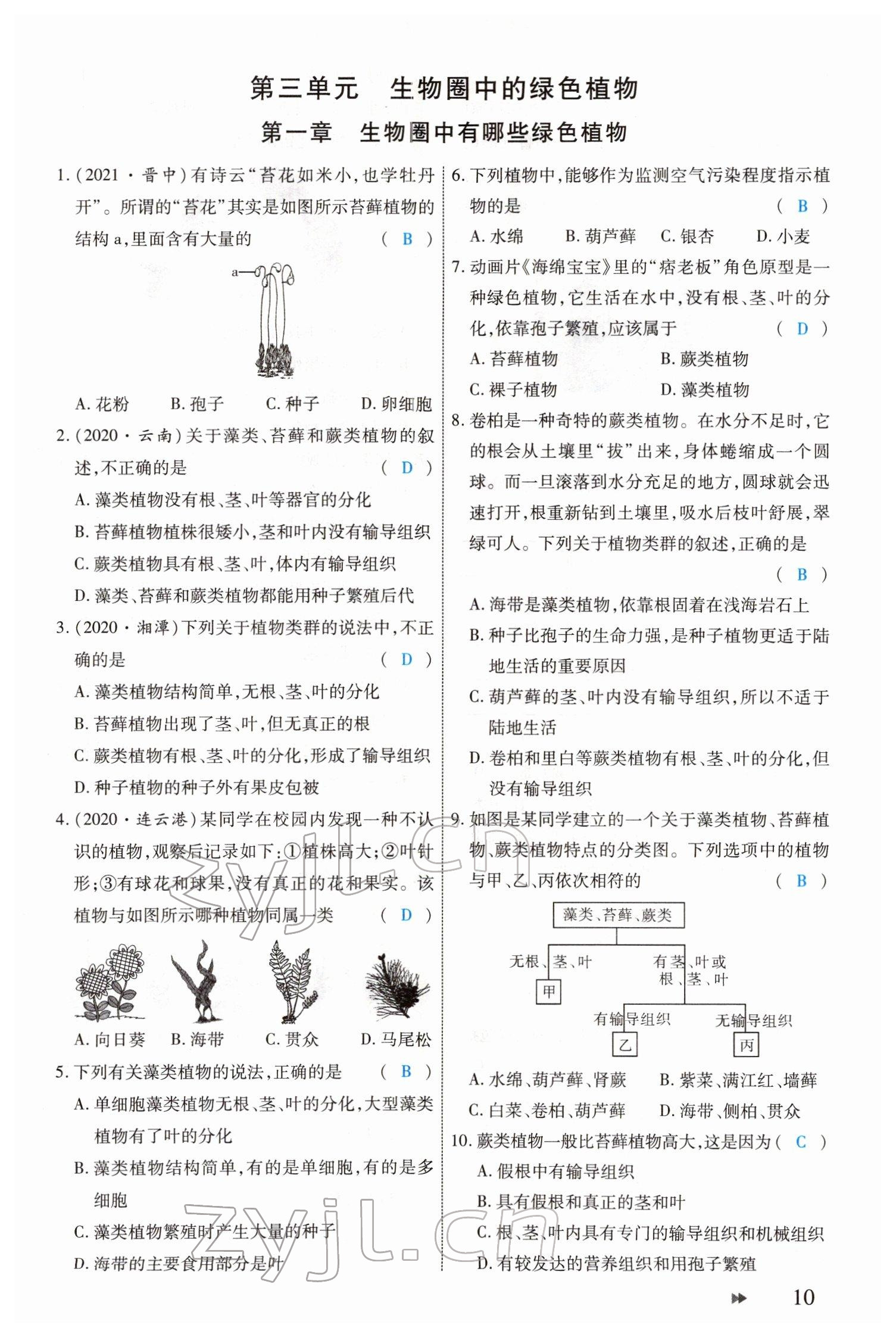 2022年領航中考生物河南專版 參考答案第10頁