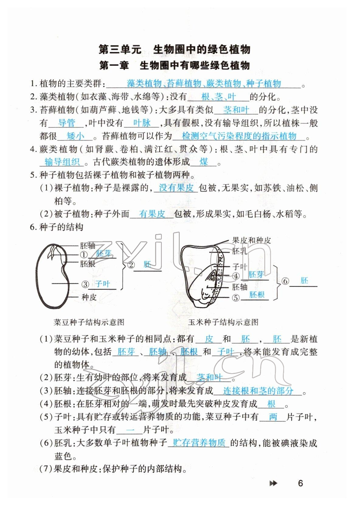 2022年領(lǐng)航中考生物河南專版 參考答案第6頁