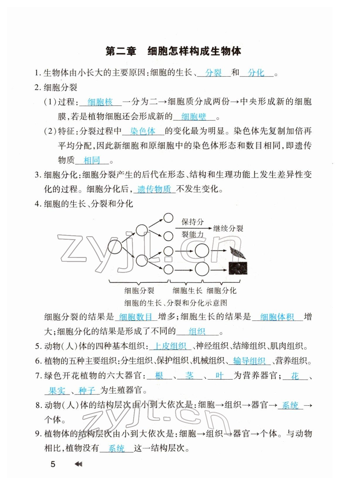 2022年領(lǐng)航中考生物河南專版 參考答案第5頁