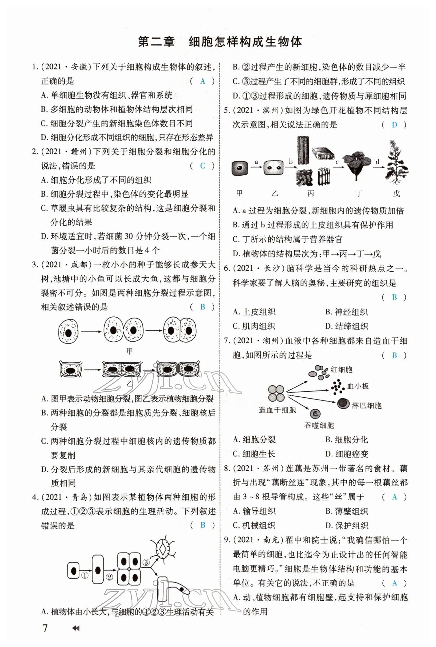 2022年領(lǐng)航中考生物河南專版 參考答案第7頁