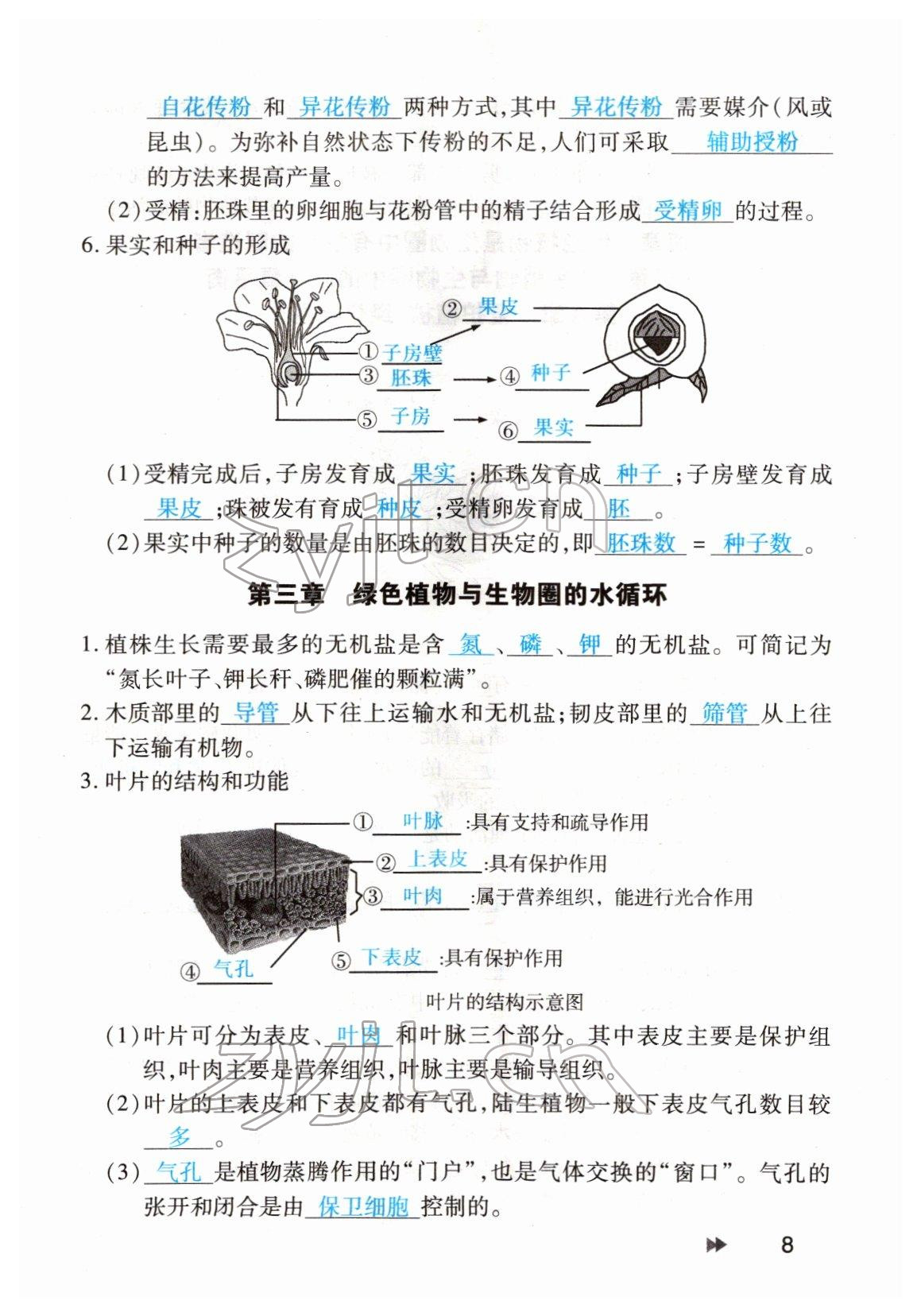 2022年領(lǐng)航中考生物河南專版 參考答案第8頁(yè)