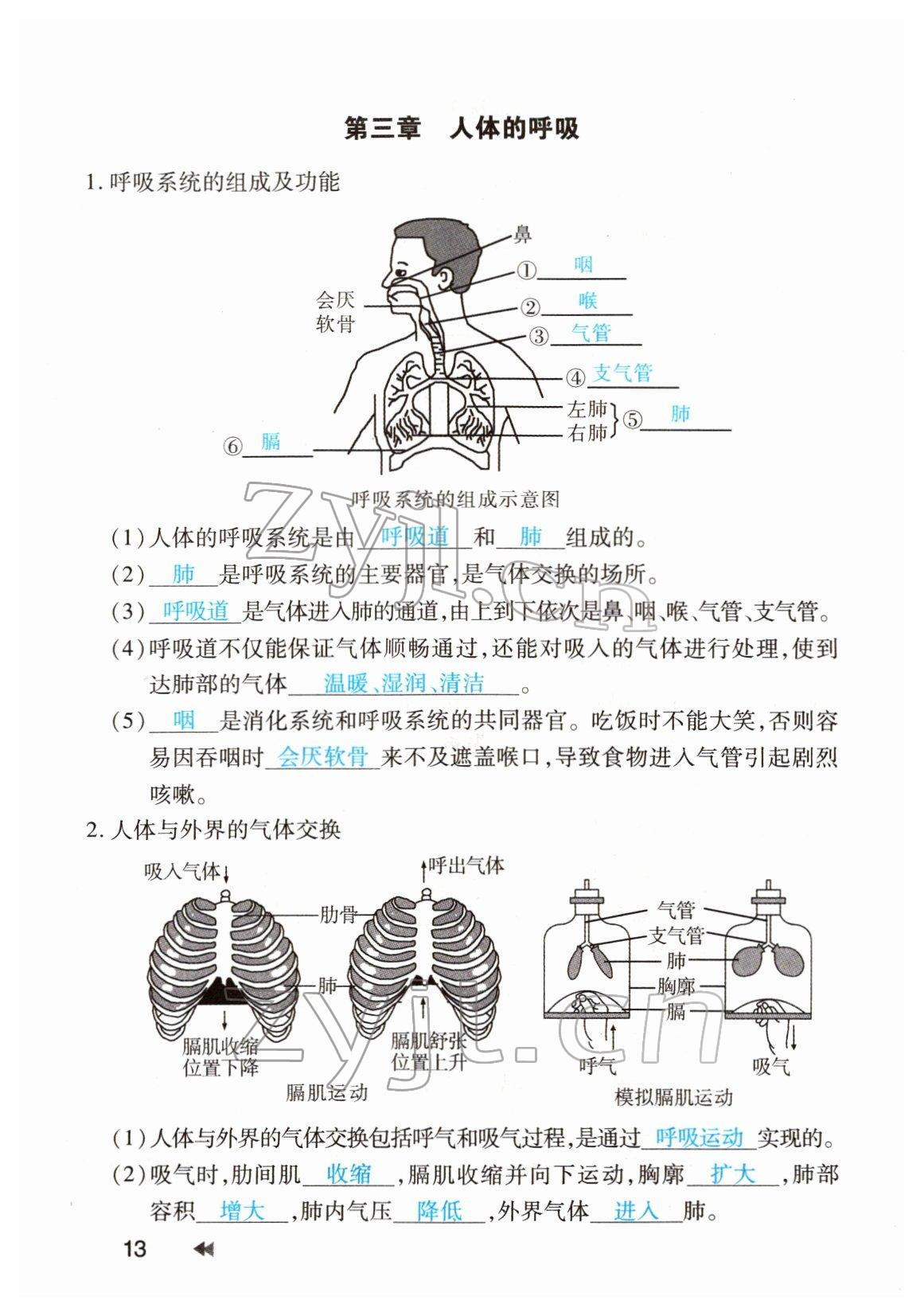 2022年領航中考生物河南專版 參考答案第13頁