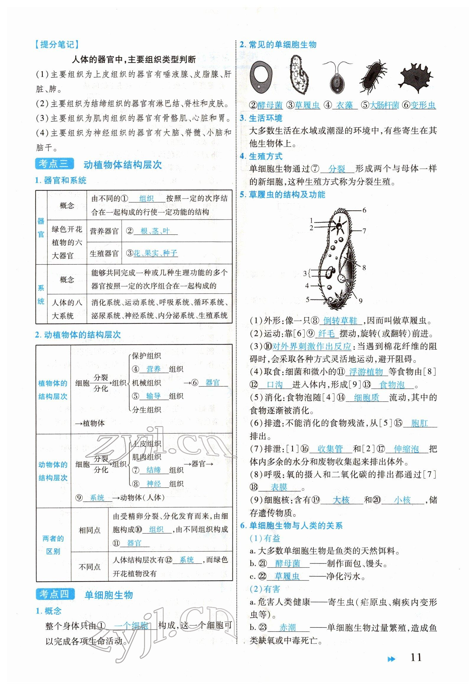 2022年領(lǐng)航中考生物河南專版 參考答案第11頁