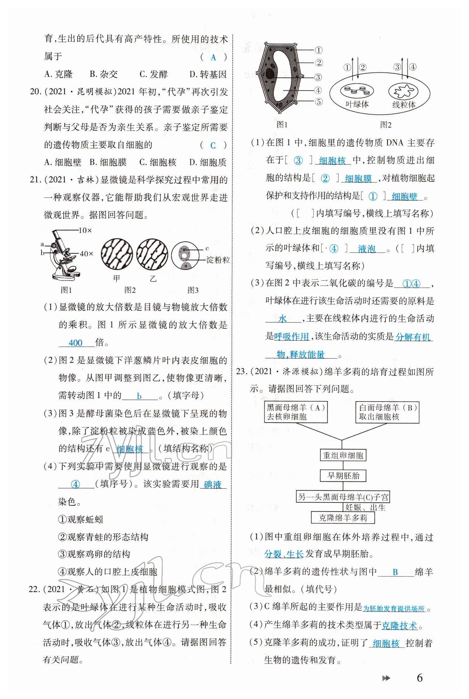 2022年領(lǐng)航中考生物河南專版 參考答案第6頁(yè)