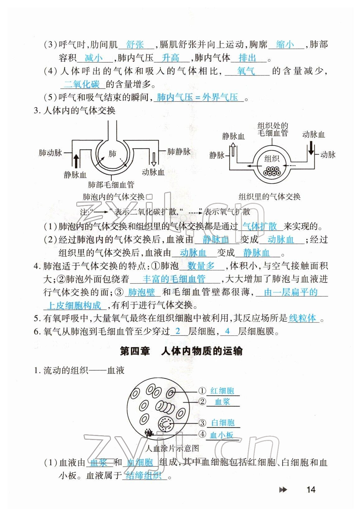 2022年領(lǐng)航中考生物河南專版 參考答案第14頁