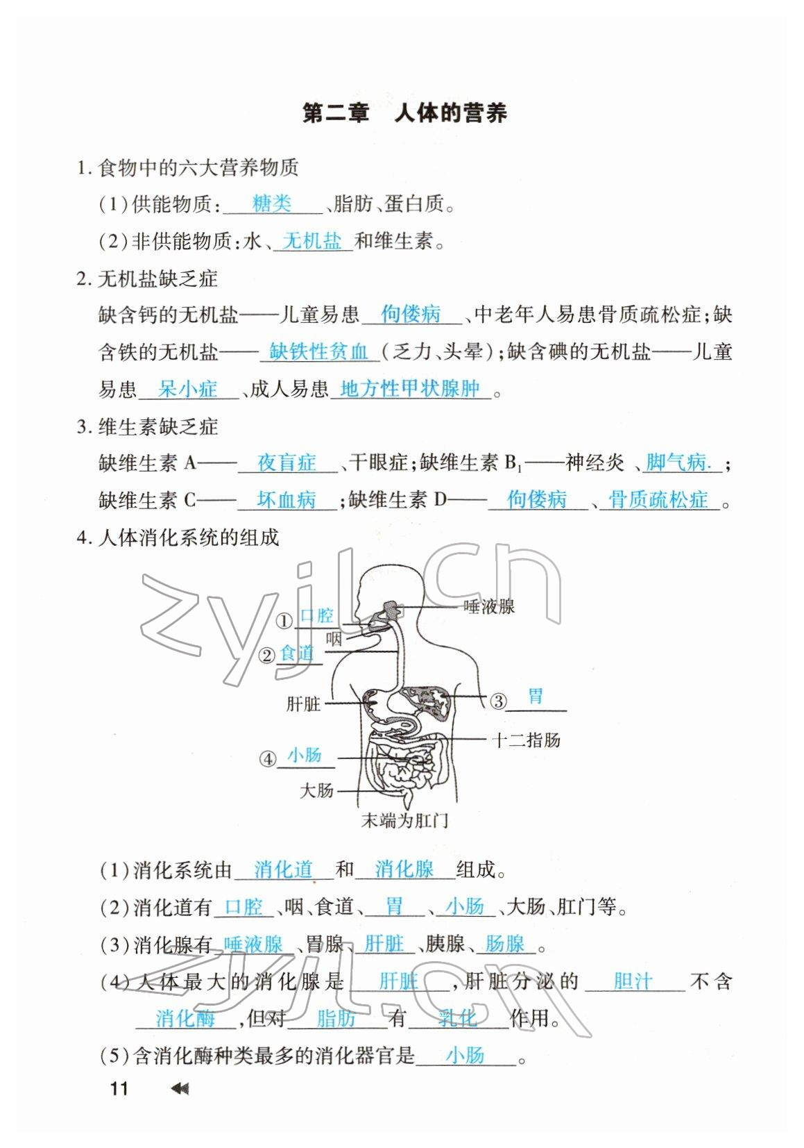 2022年領(lǐng)航中考生物河南專版 參考答案第11頁