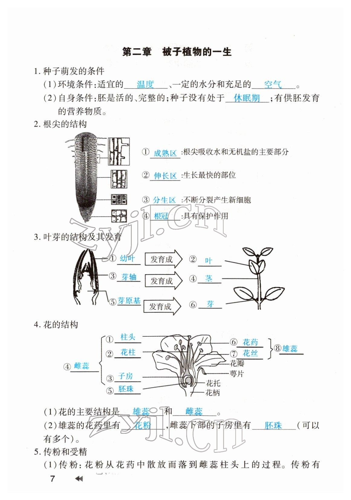 2022年領(lǐng)航中考生物河南專版 參考答案第7頁(yè)