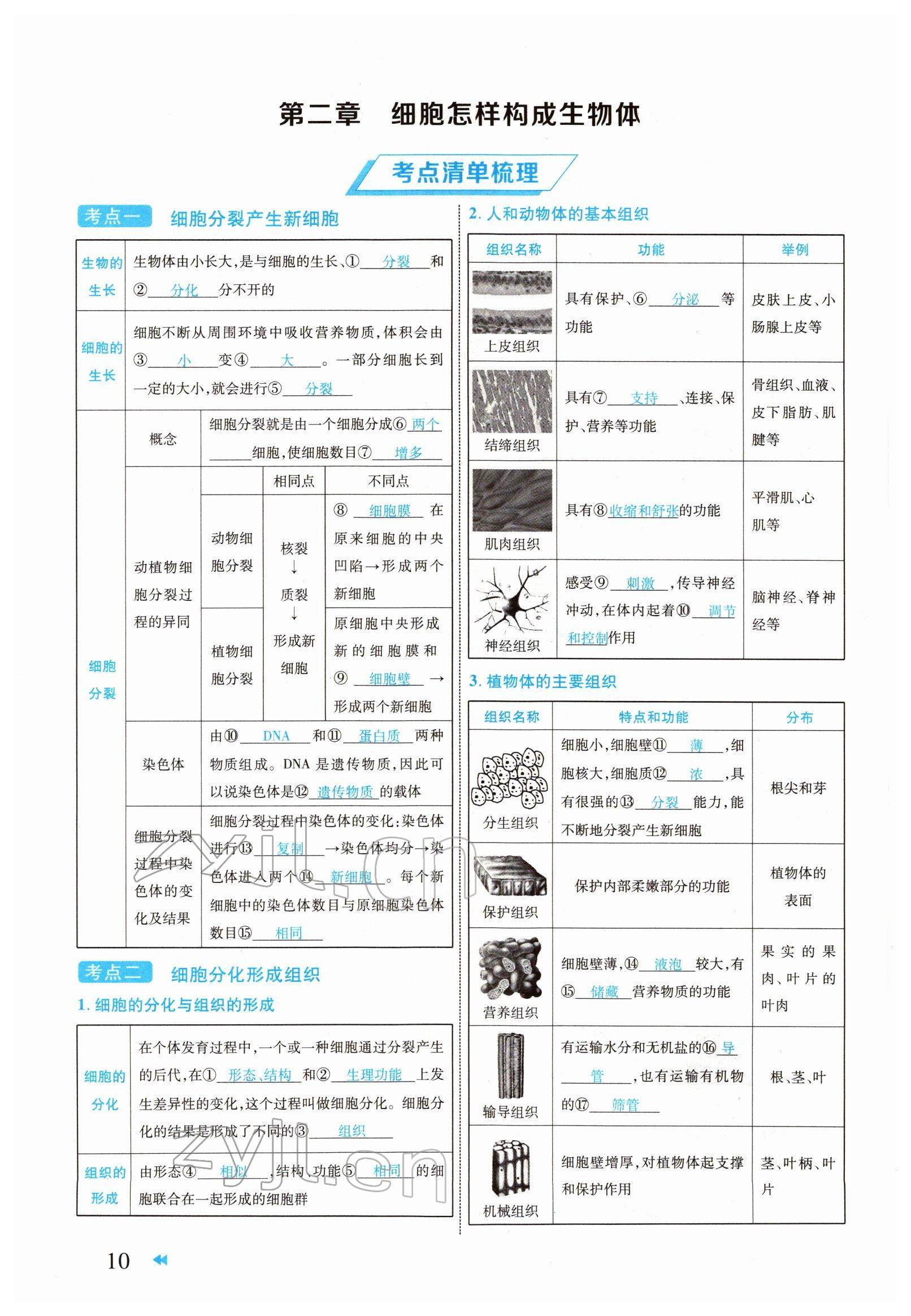 2022年領(lǐng)航中考生物河南專版 參考答案第10頁