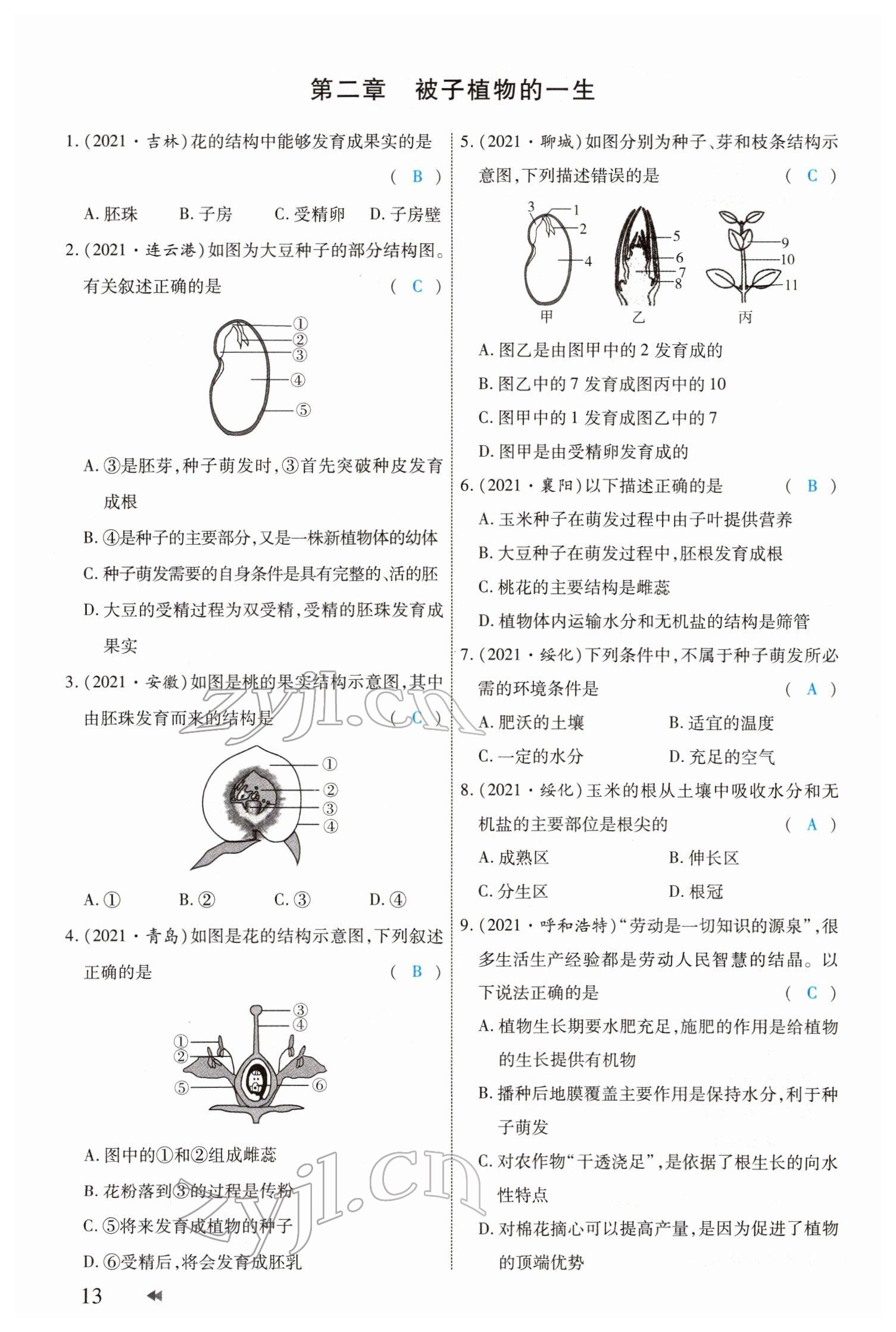 2022年領(lǐng)航中考生物河南專版 參考答案第13頁