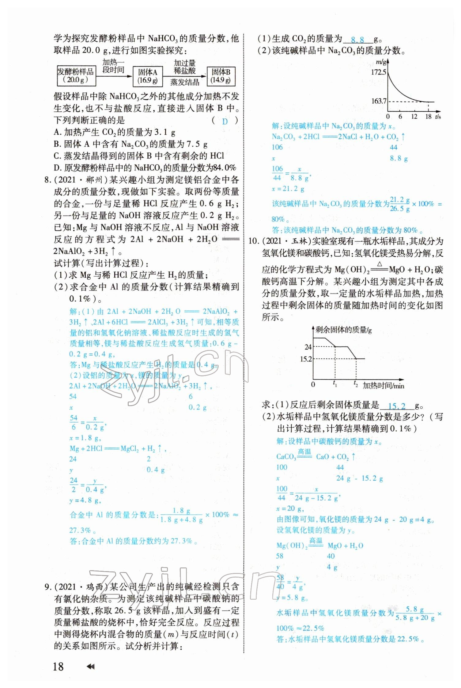 2022年領(lǐng)航中考化學(xué)河南專版 參考答案第18頁(yè)