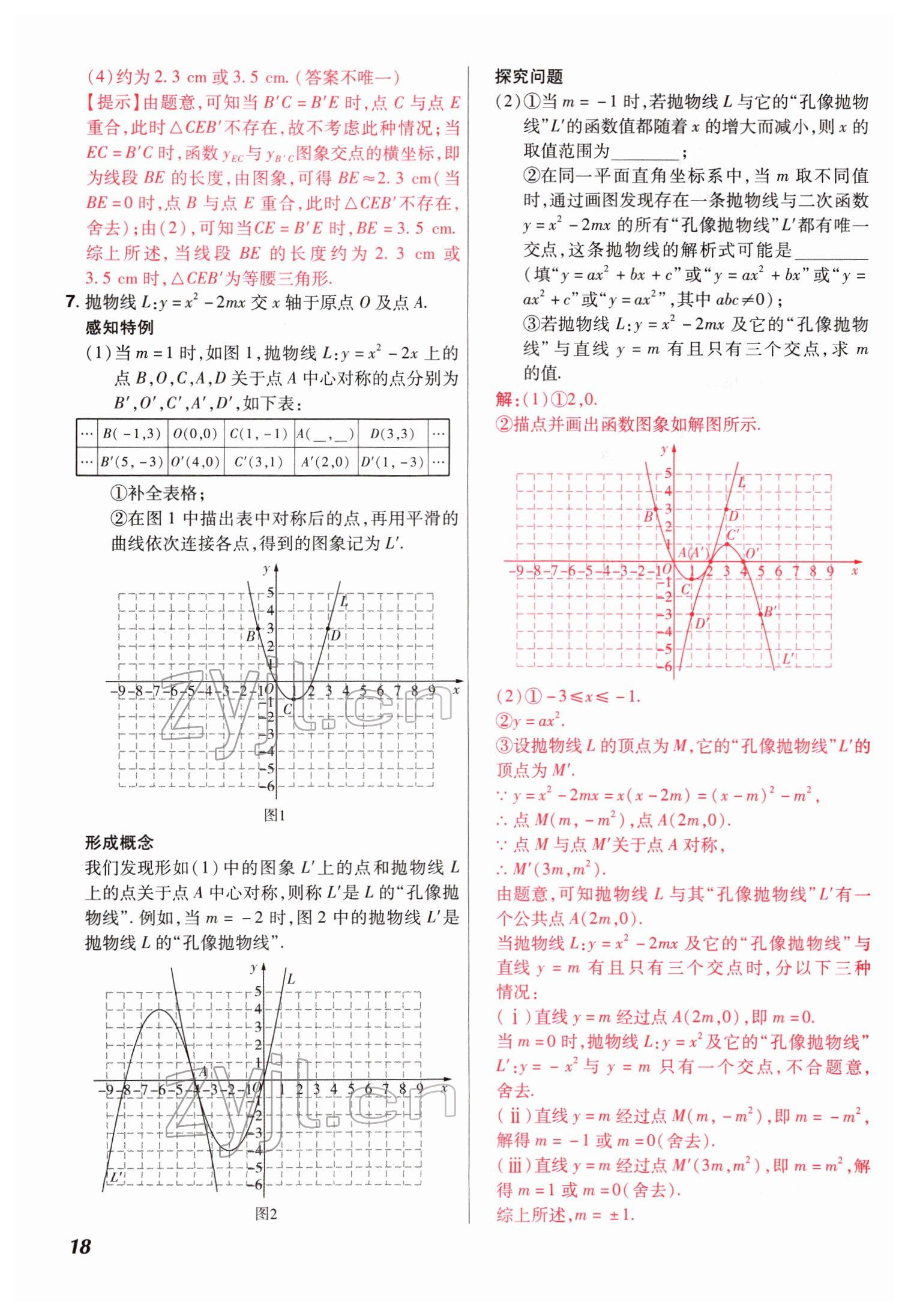 2022年中考仿真卷數(shù)學(xué)河南專版 參考答案第18頁