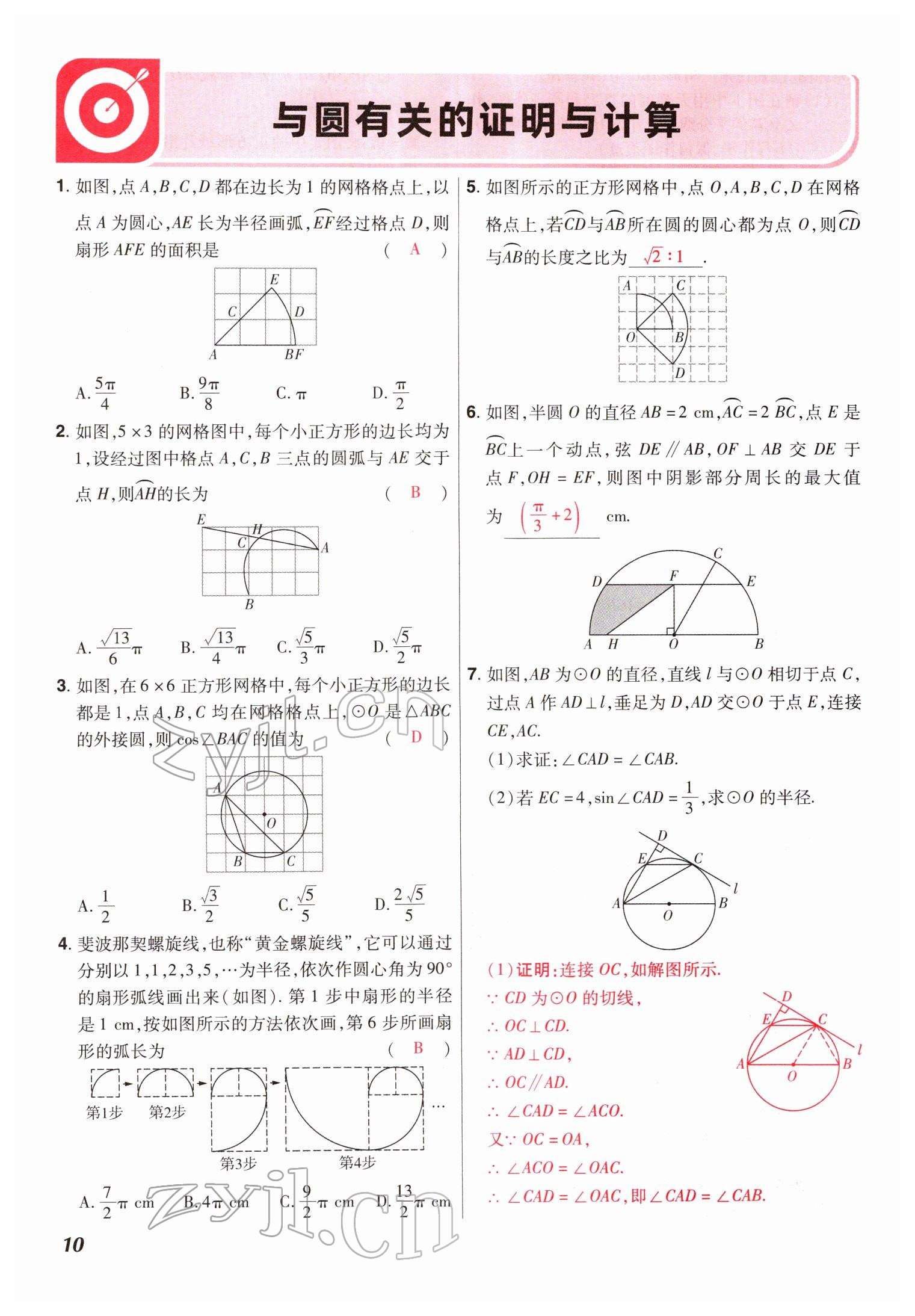 2022年中考仿真卷數(shù)學(xué)河南專版 參考答案第10頁