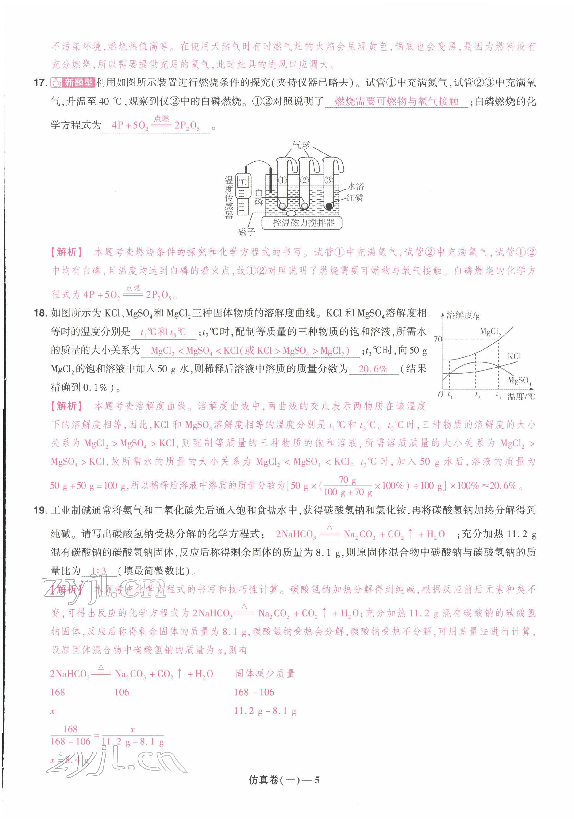 2022年中考仿真卷化學(xué)河南專版 第5頁(yè)