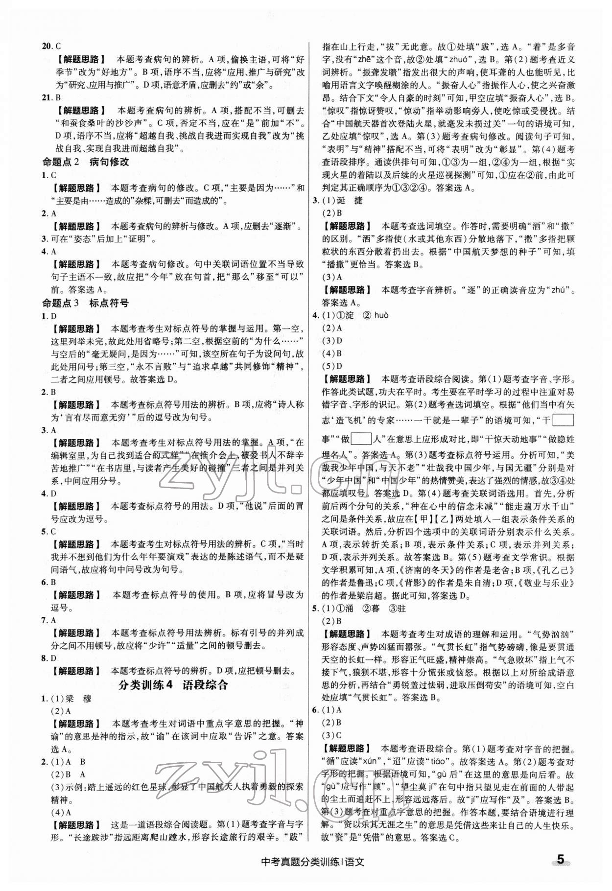 2022年金考卷中考真题分类训练语文 第5页