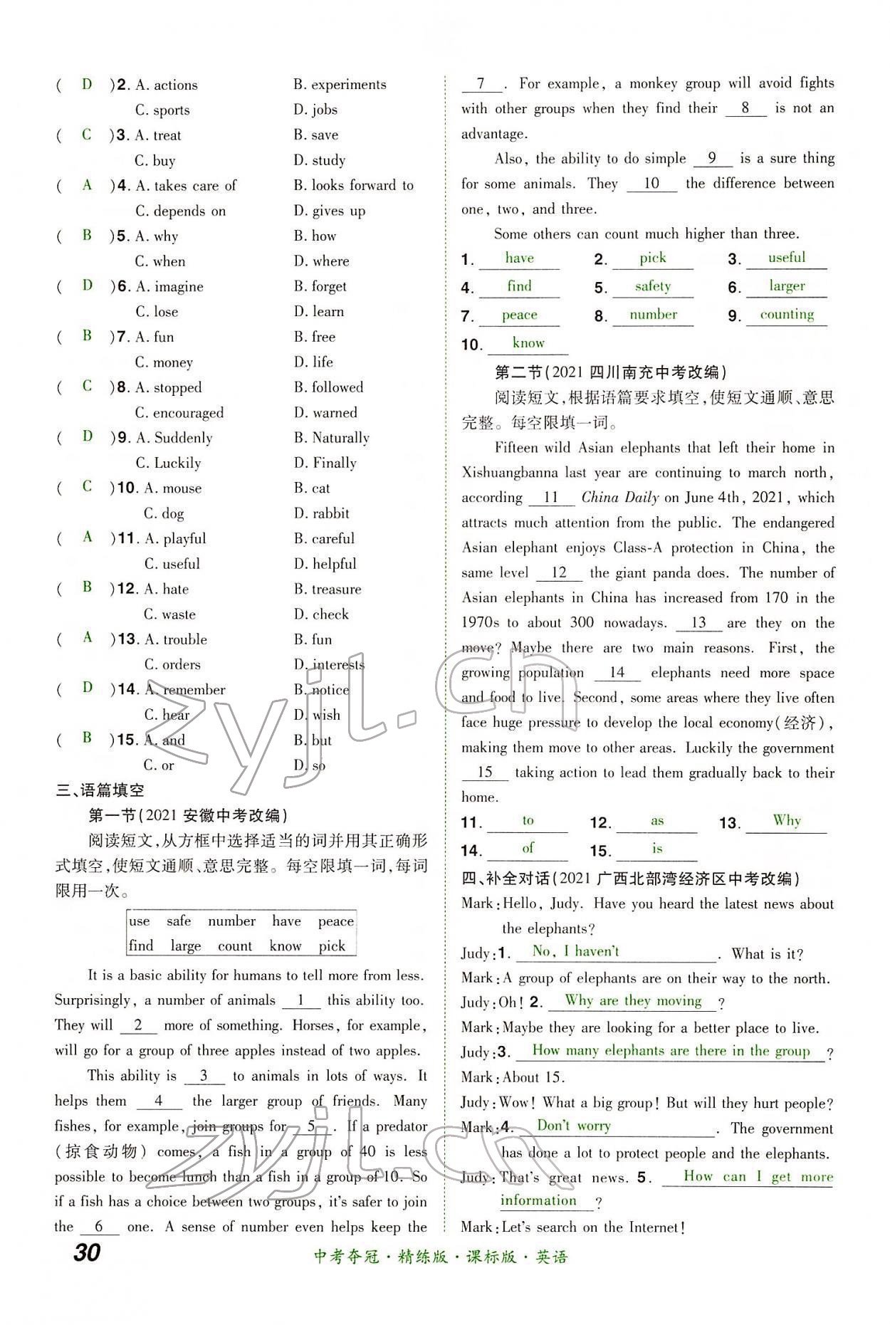2022年國華教育中考奪冠英語中考課標版河南專版 第30頁