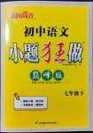 2022年初中语文小题狂做七年级下册巅峰版