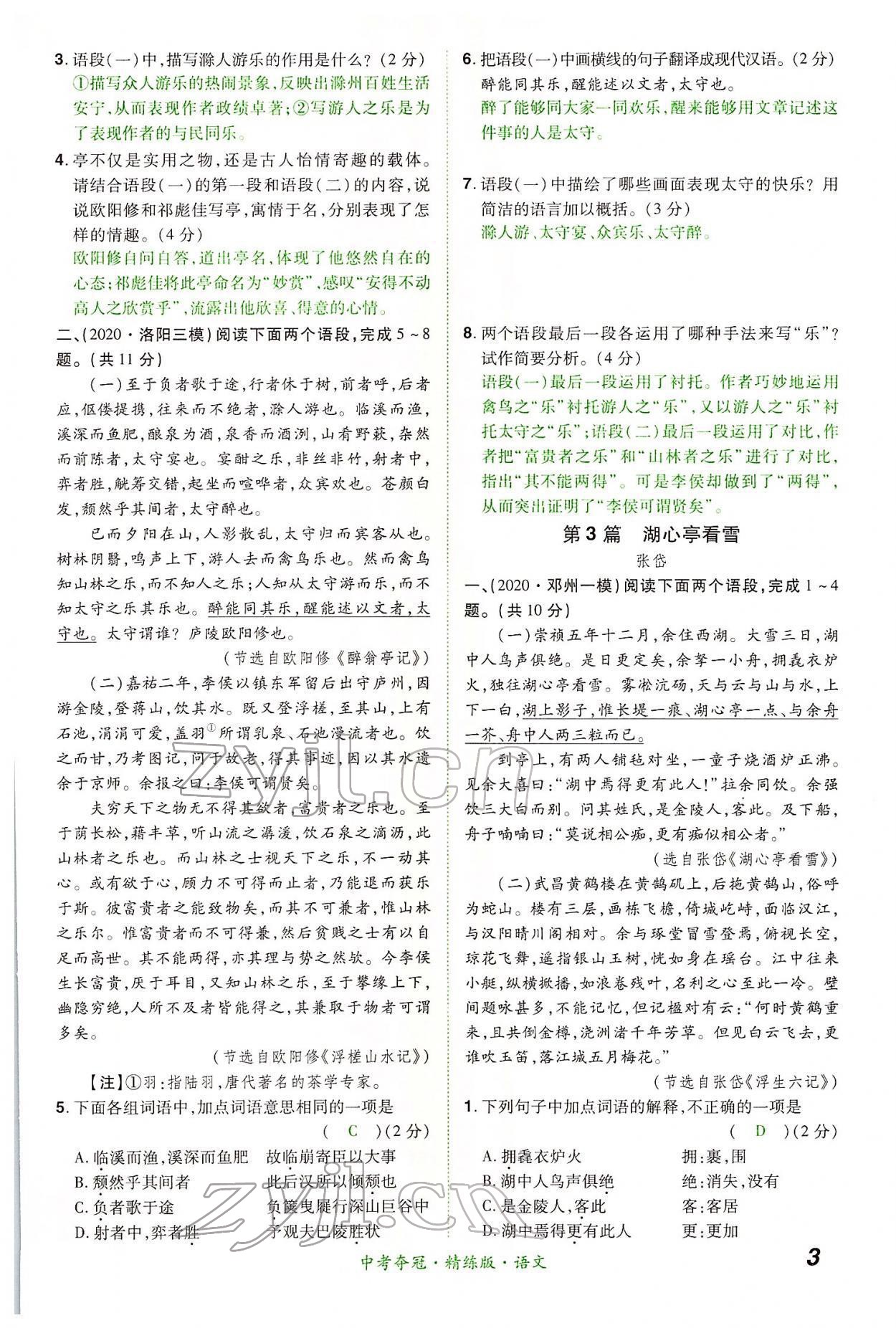 2022年國華教育中考奪冠語文河南專版 第3頁