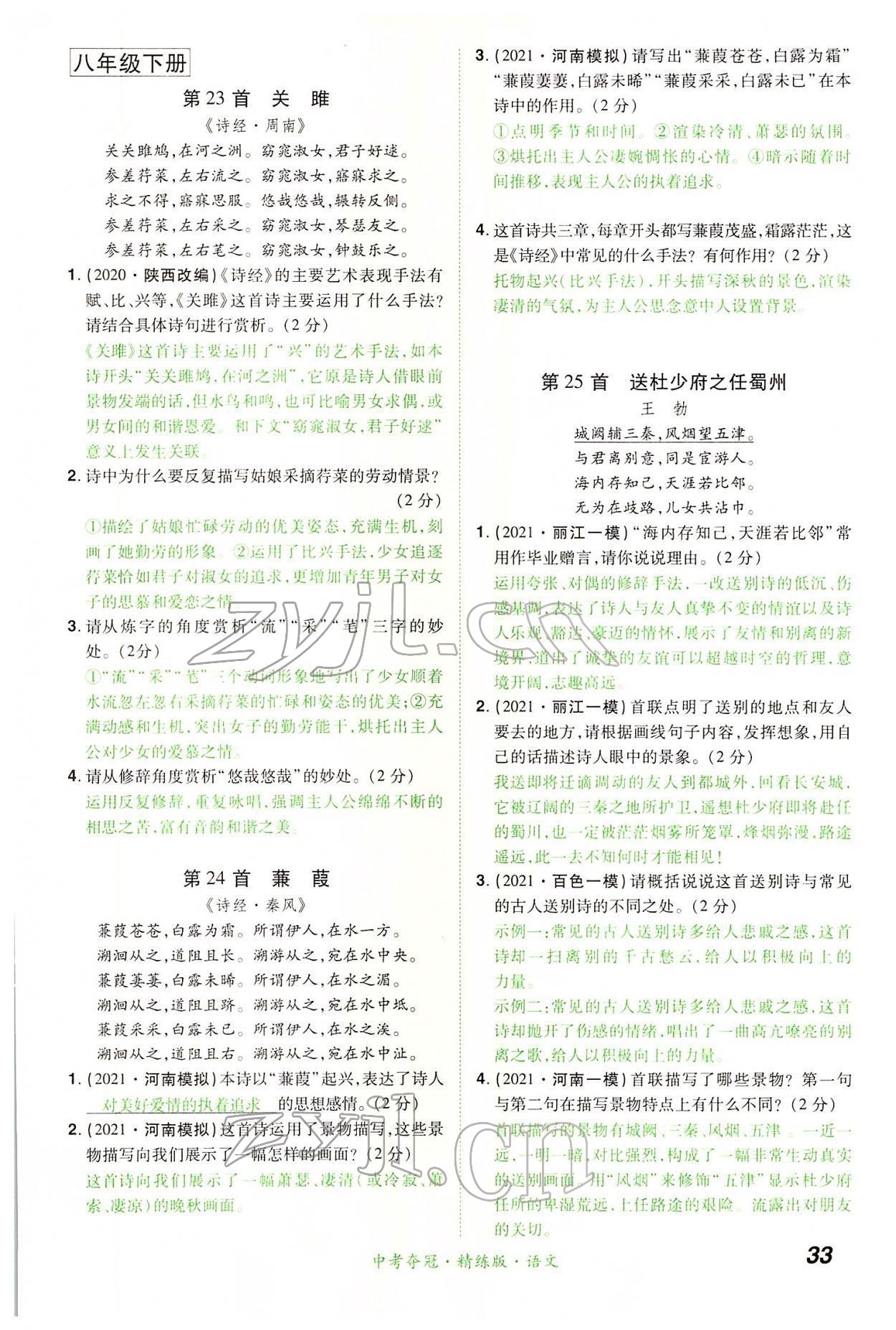 2022年國華教育中考奪冠語文河南專版 第33頁