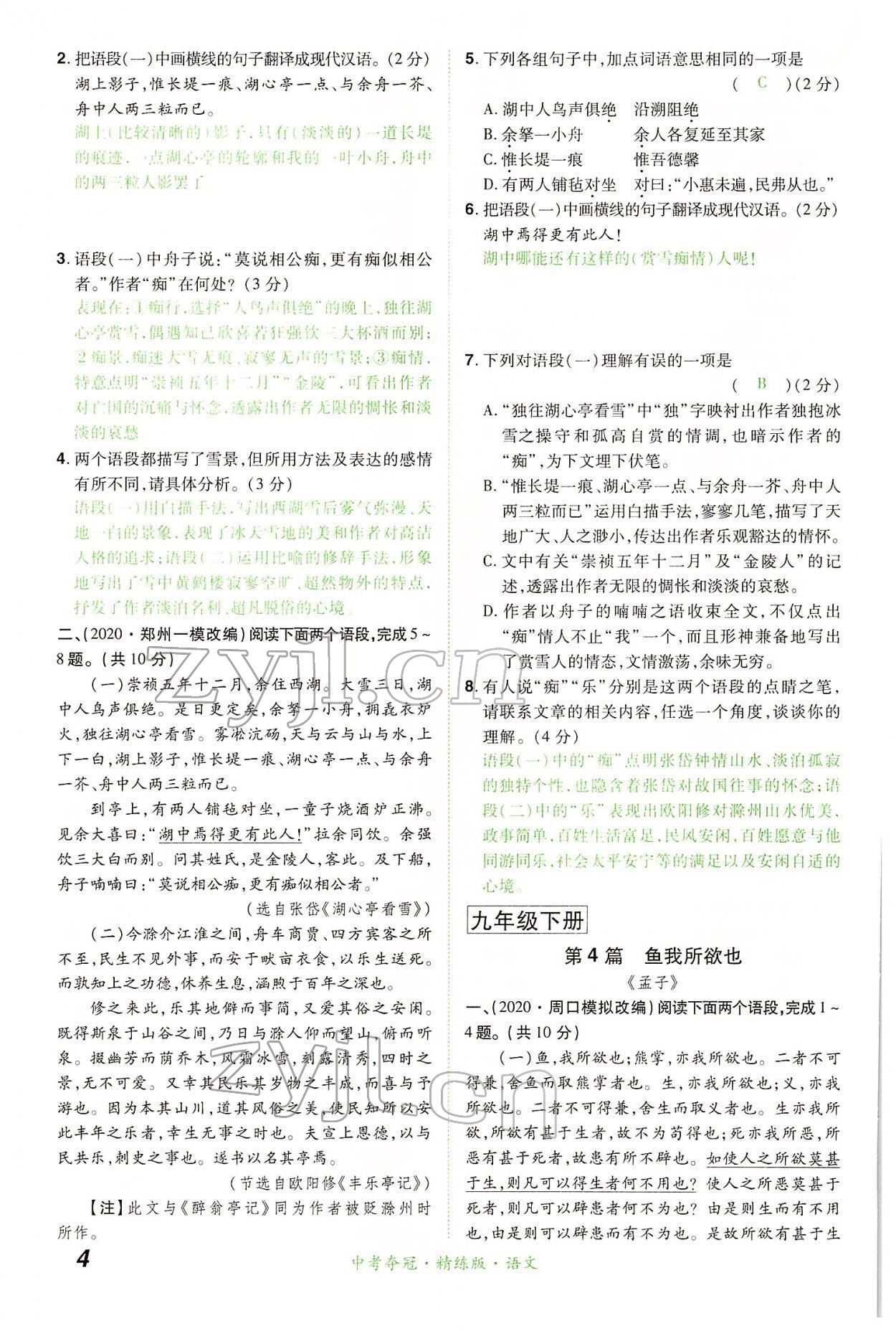 2022年國華教育中考奪冠語文河南專版 第4頁