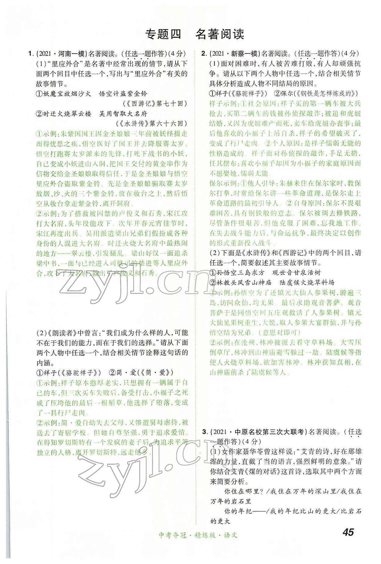 2022年國華教育中考奪冠語文河南專版 第45頁