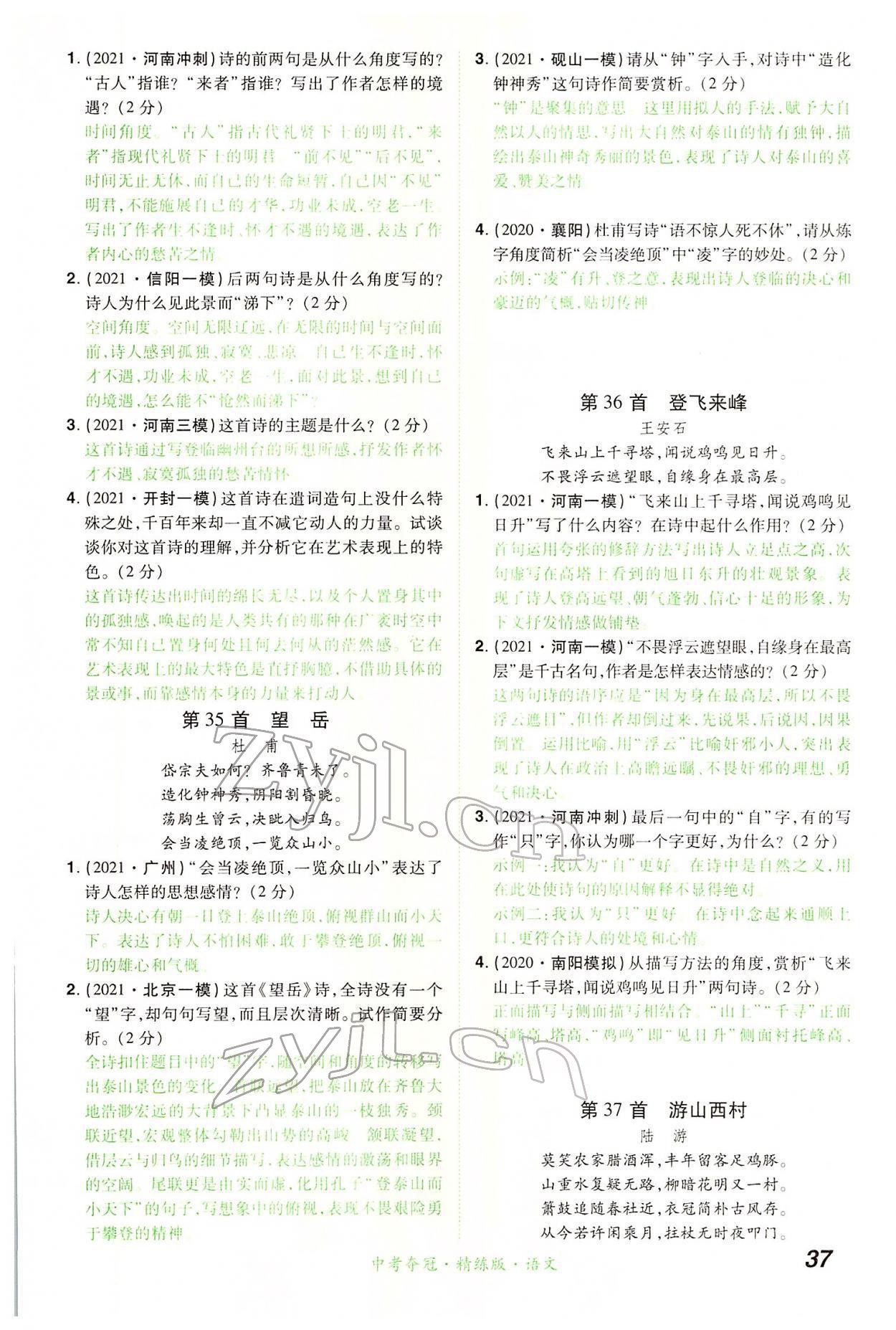 2022年國華教育中考奪冠語文河南專版 第37頁