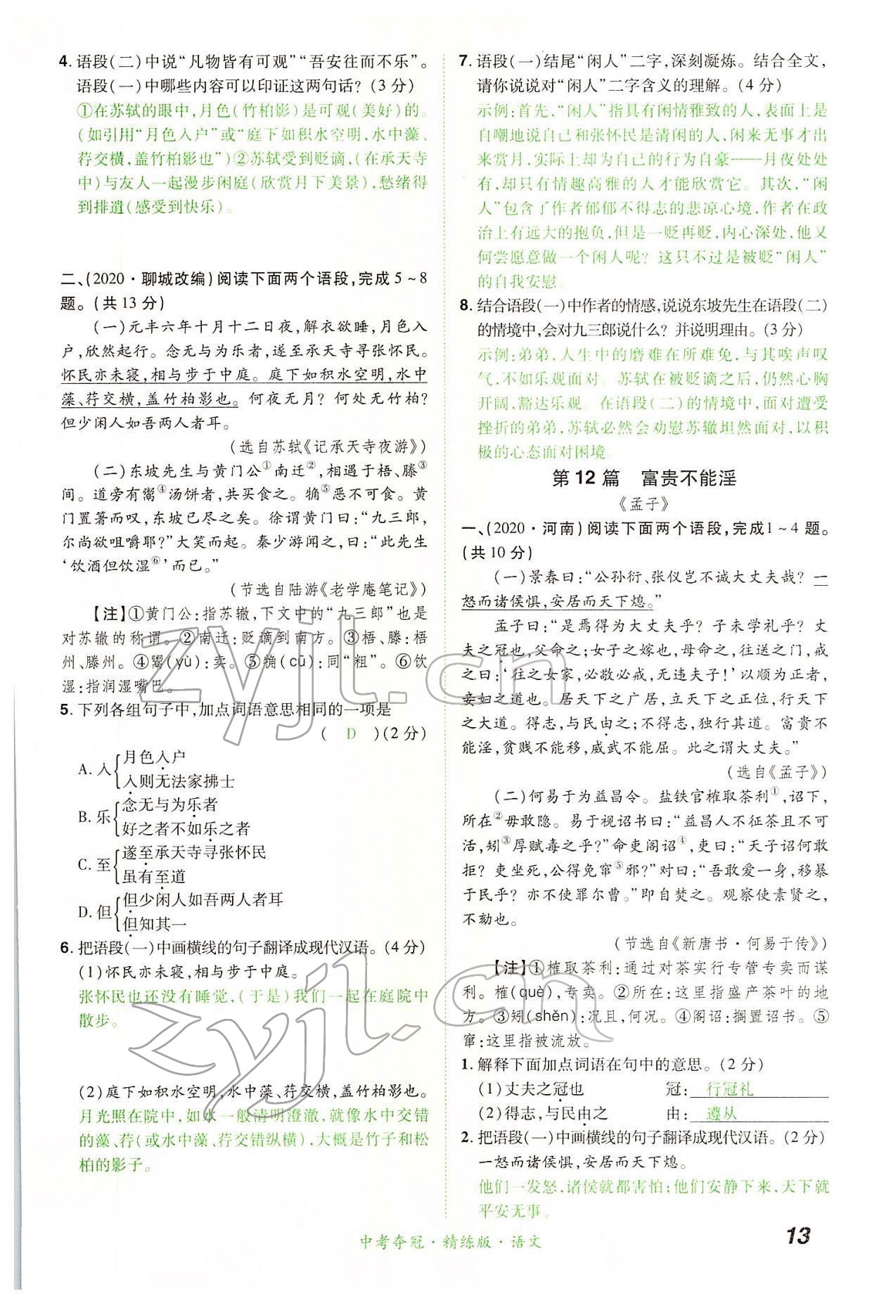2022年國華教育中考奪冠語文河南專版 第13頁