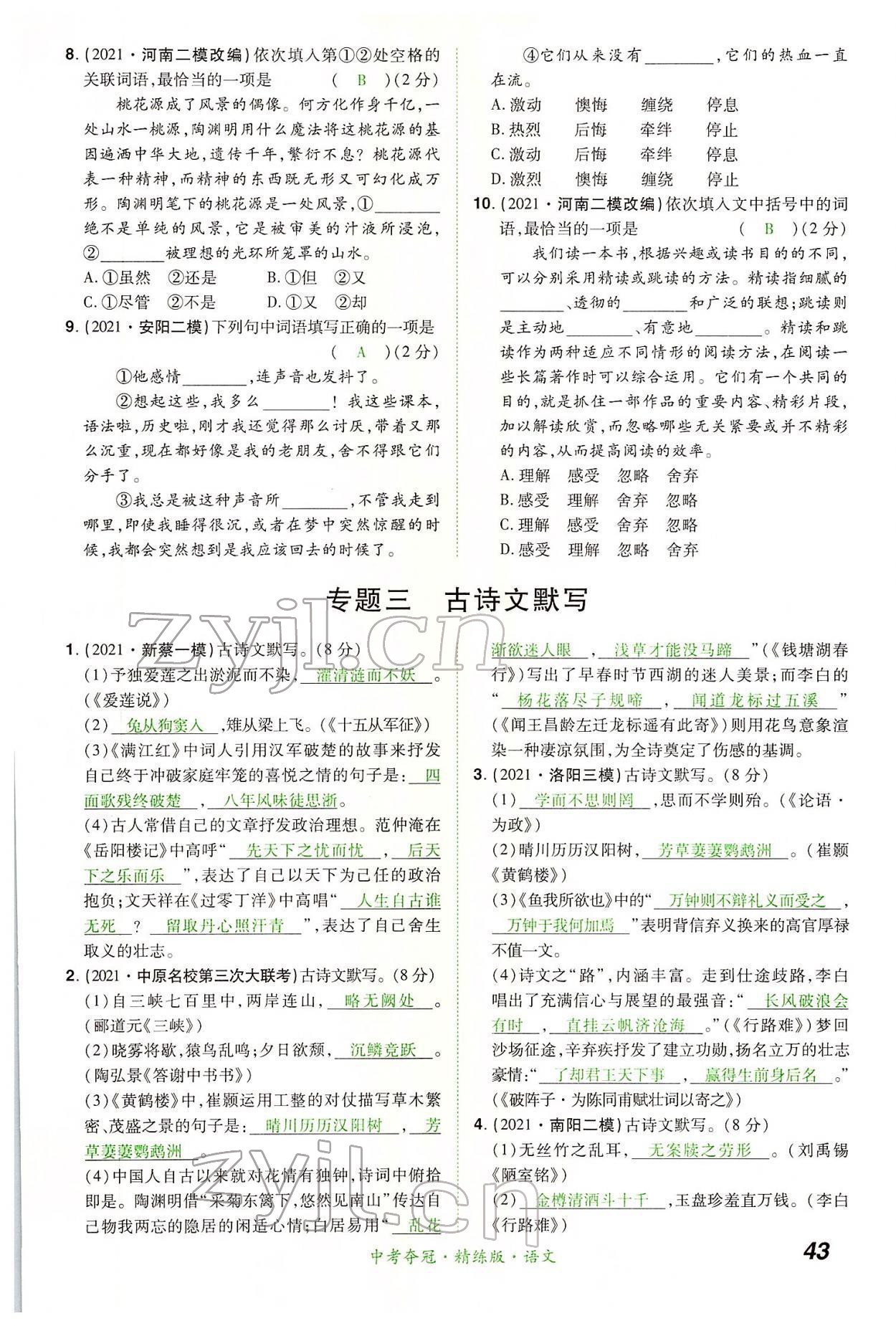 2022年國華教育中考奪冠語文河南專版 第43頁