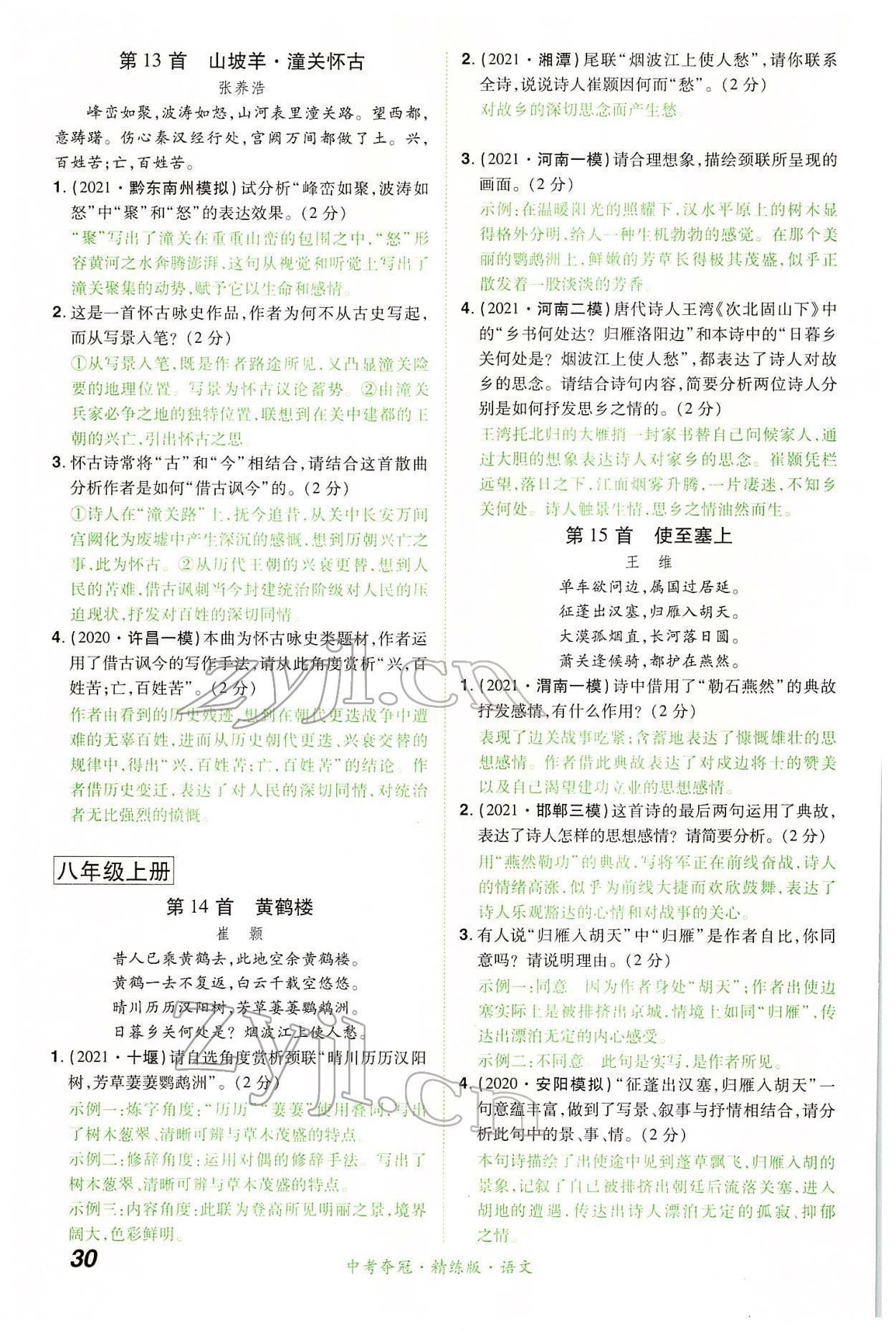 2022年國華教育中考奪冠語文河南專版 第30頁