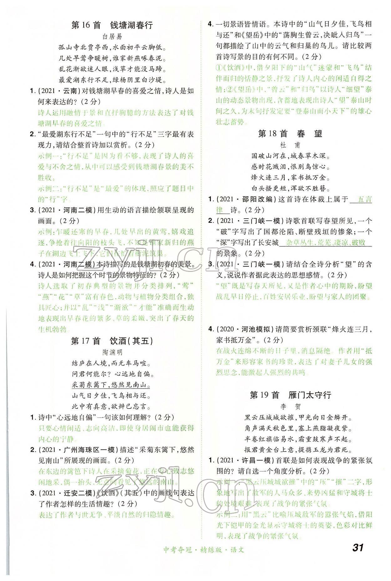 2022年國華教育中考奪冠語文河南專版 第31頁