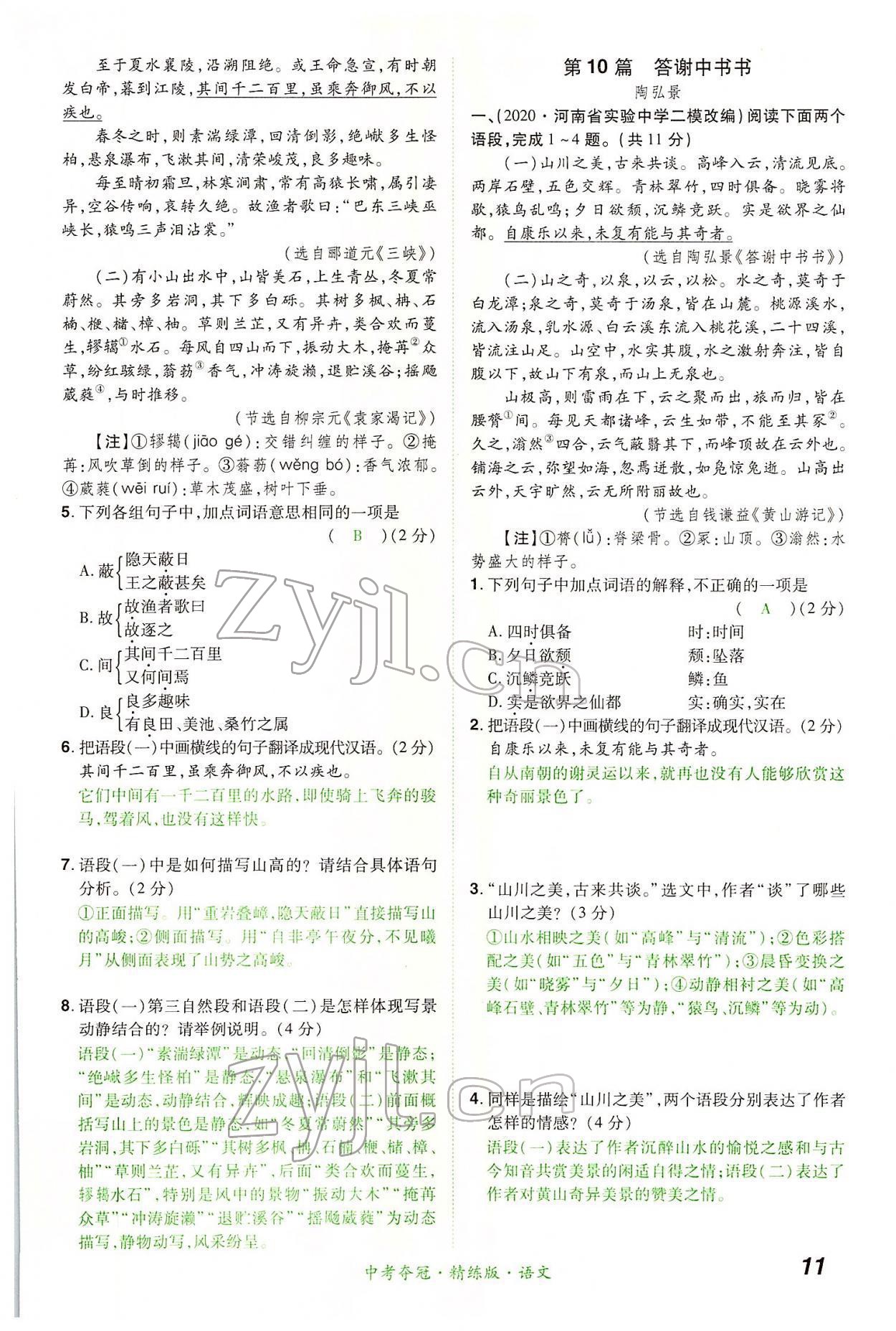 2022年國華教育中考奪冠語文河南專版 第11頁