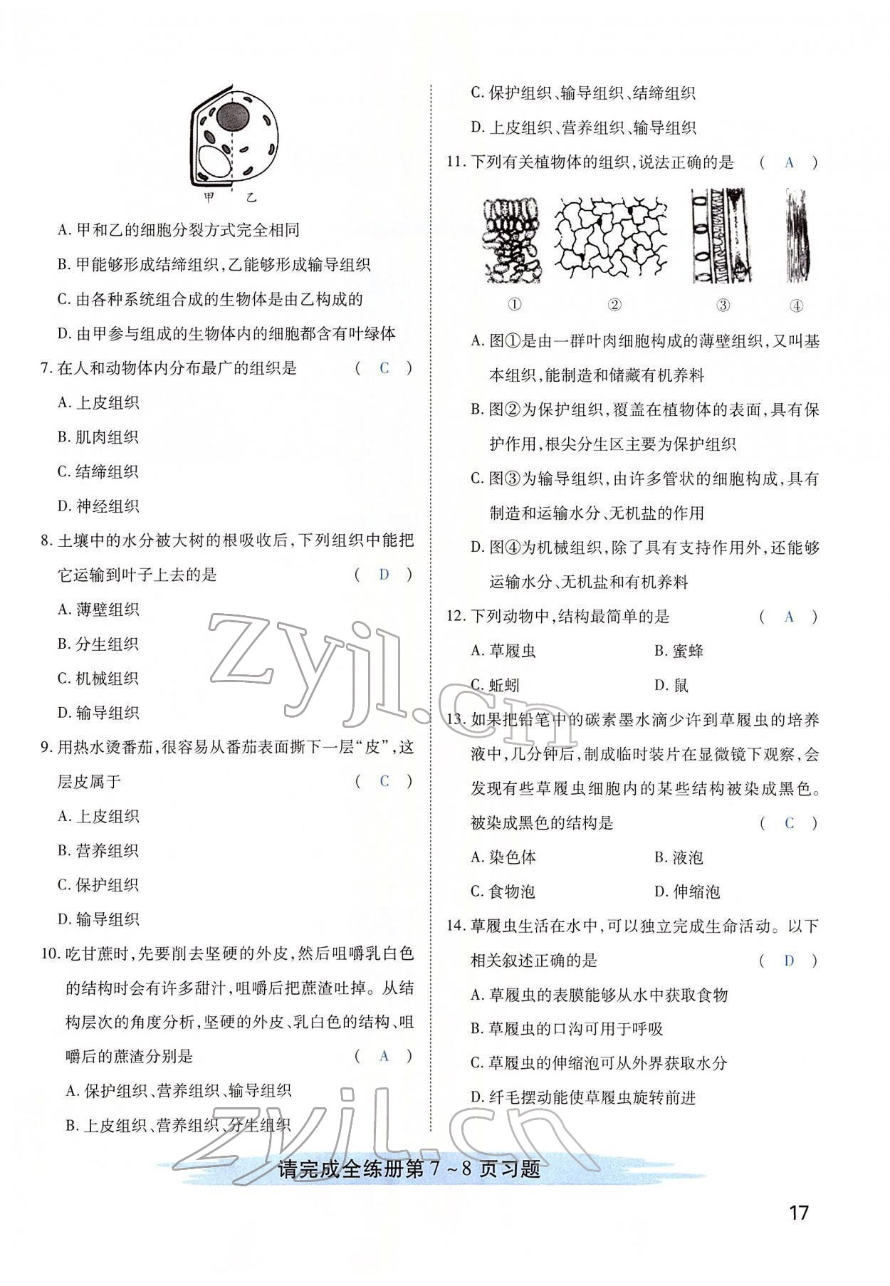 2022年河南中考第一輪總復習一本全生物 第17頁