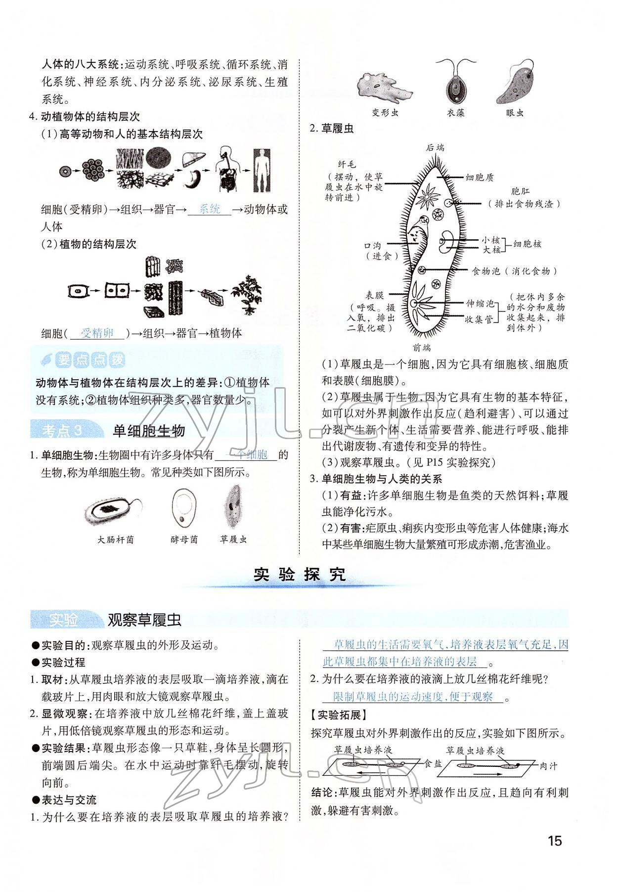 2022年河南中考第一輪總復習一本全生物 第15頁