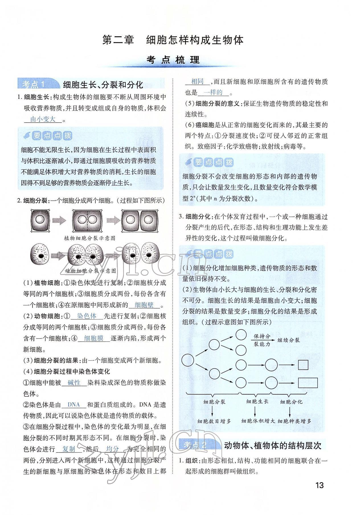 2022年河南中考第一輪總復(fù)習(xí)一本全生物 第13頁