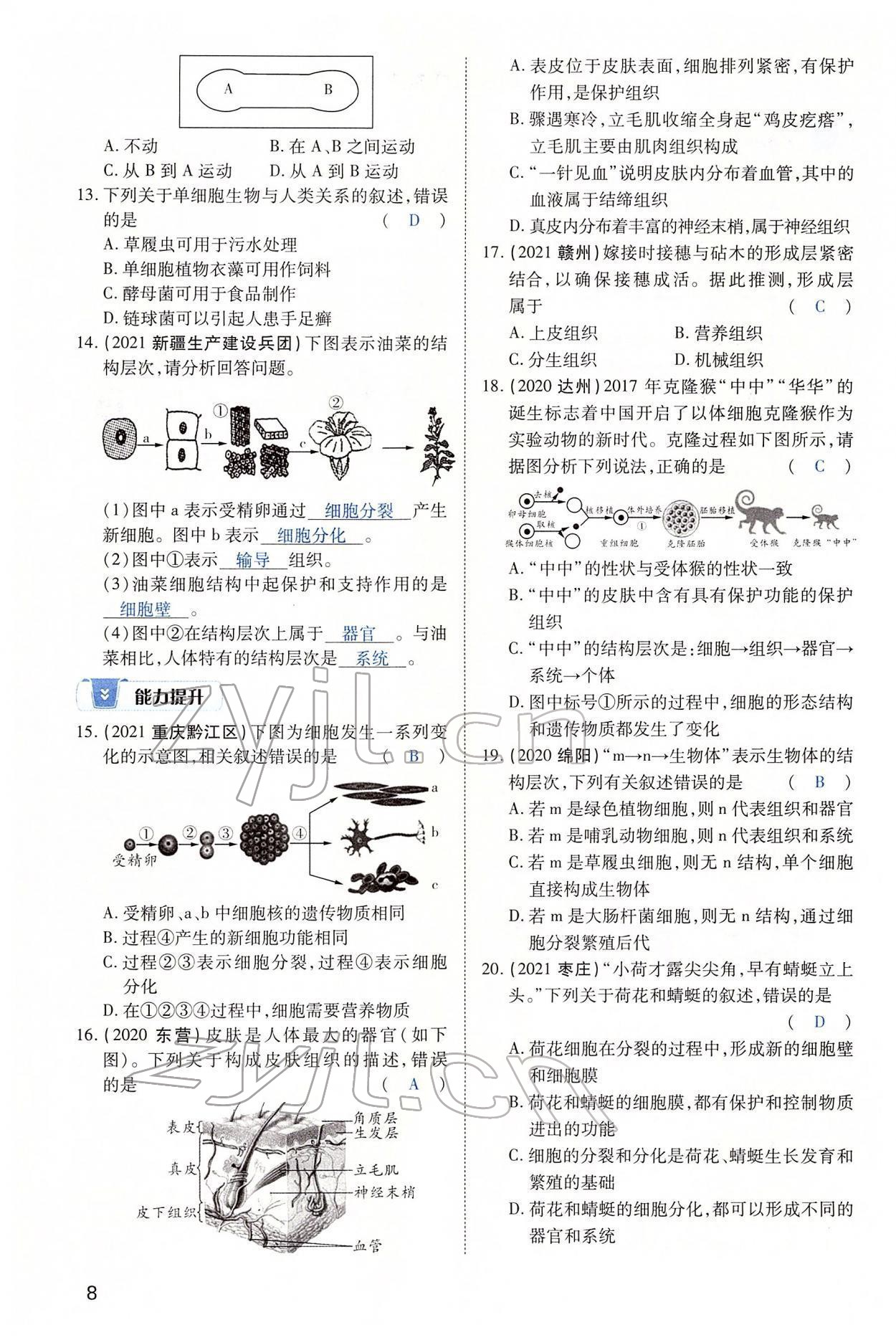 2022年河南中考第一輪總復(fù)習(xí)一本全生物 第8頁