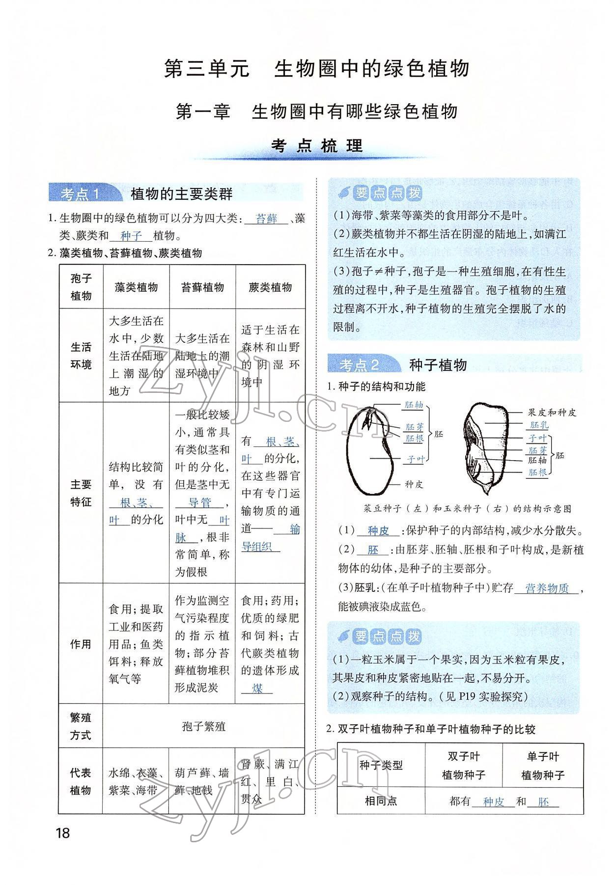2022年河南中考第一輪總復(fù)習(xí)一本全生物 第18頁(yè)