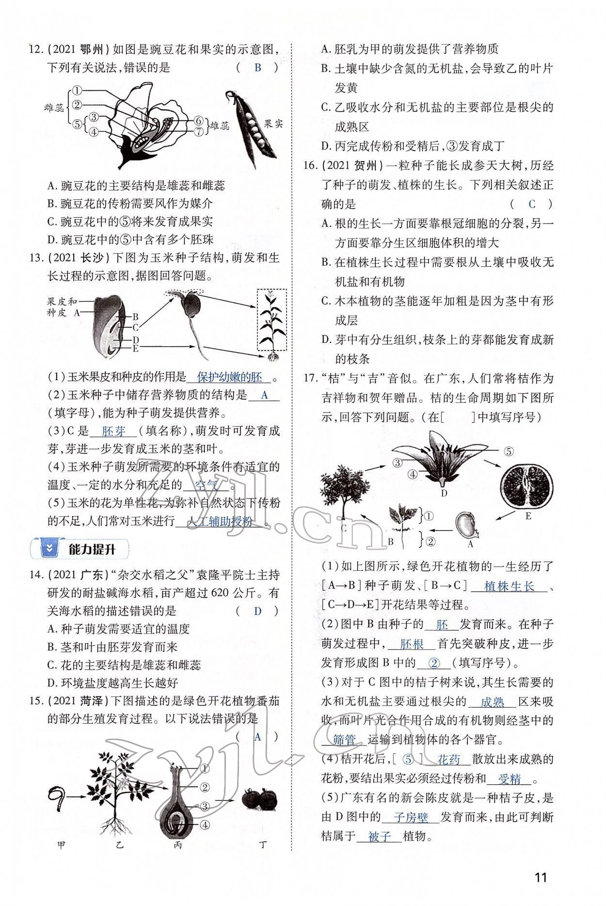 2022年河南中考第一輪總復(fù)習(xí)一本全生物 第11頁(yè)