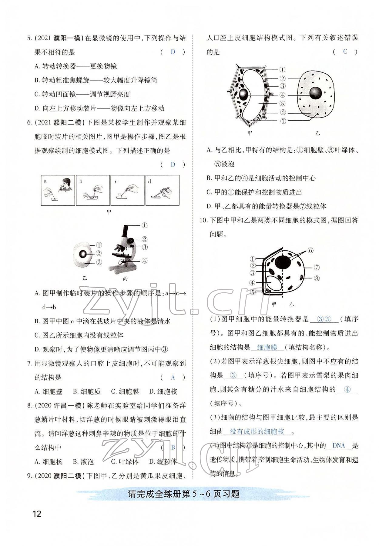 2022年河南中考第一輪總復習一本全生物 第12頁