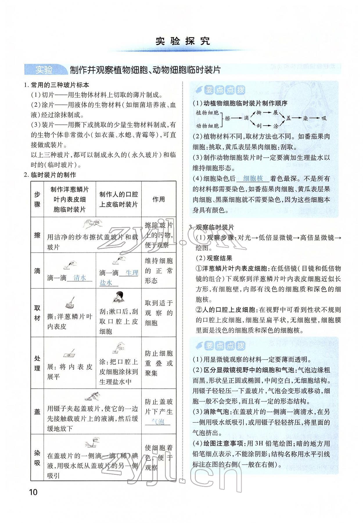 2022年河南中考第一輪總復(fù)習(xí)一本全生物 第10頁